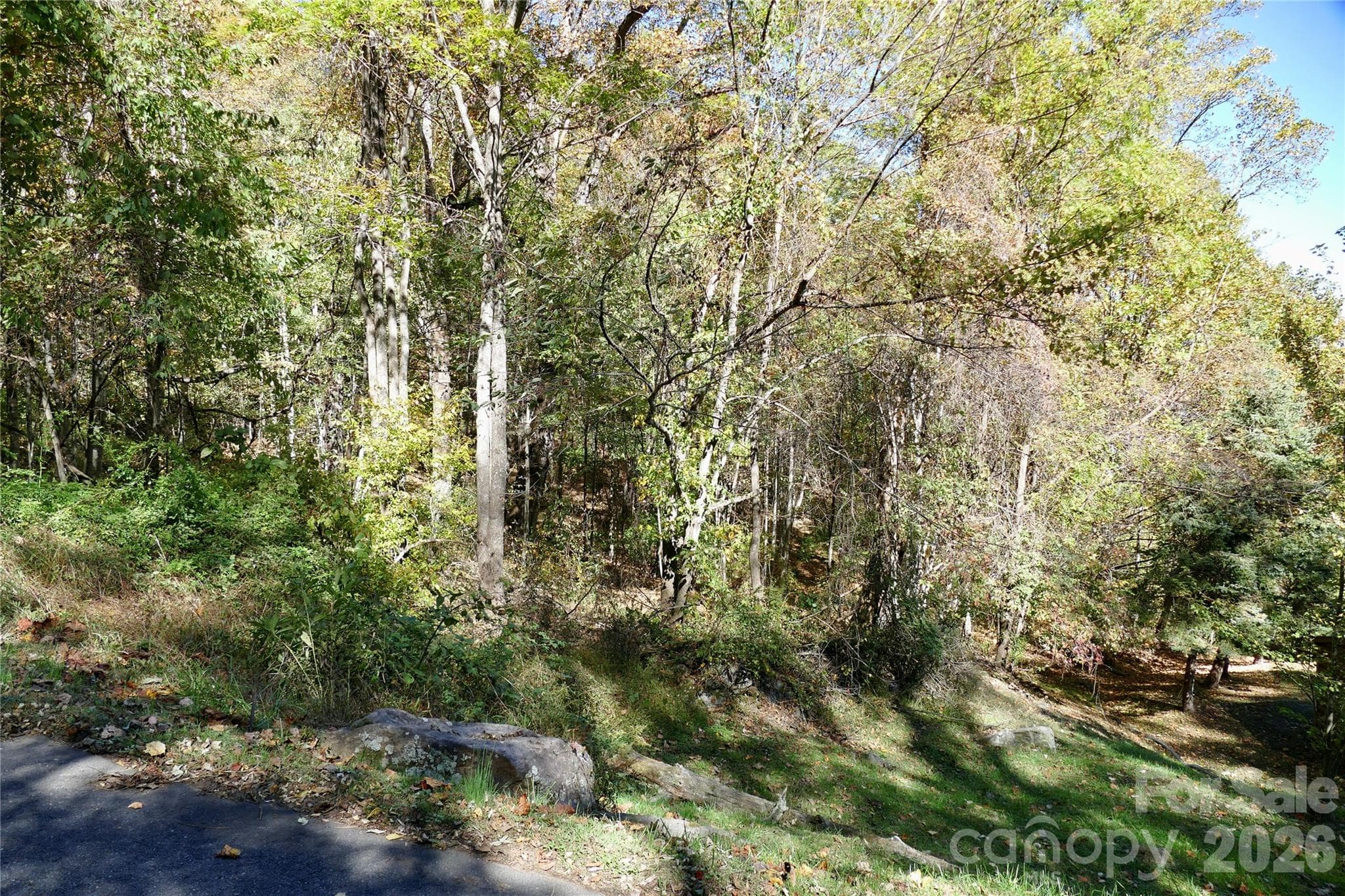 Side view at street from Neighbor property line - Lot 509 Multiflora Way, Waynesville