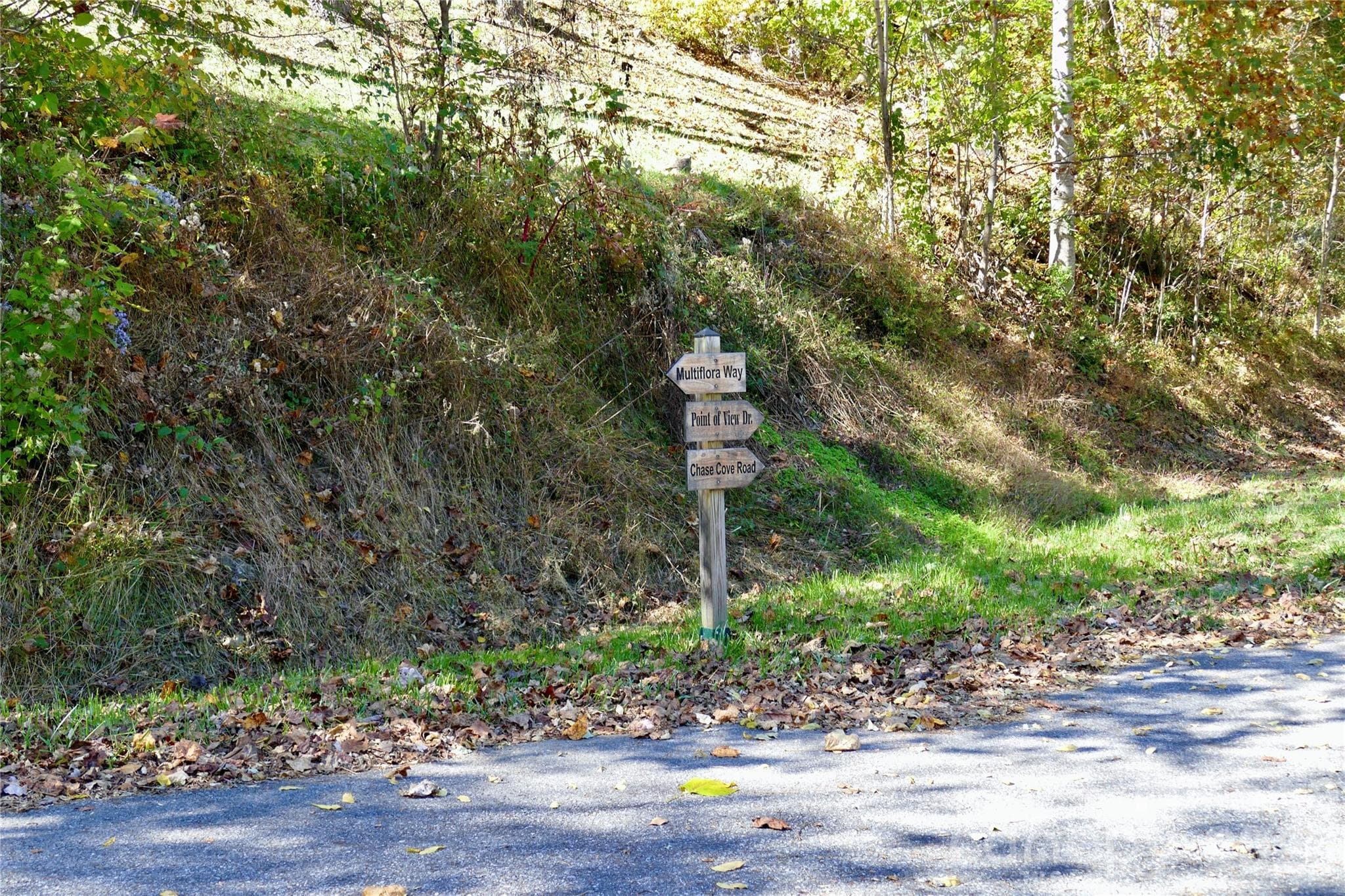 Last left turn to upper lot - Lot 509 Multiflora Way, Waynesville