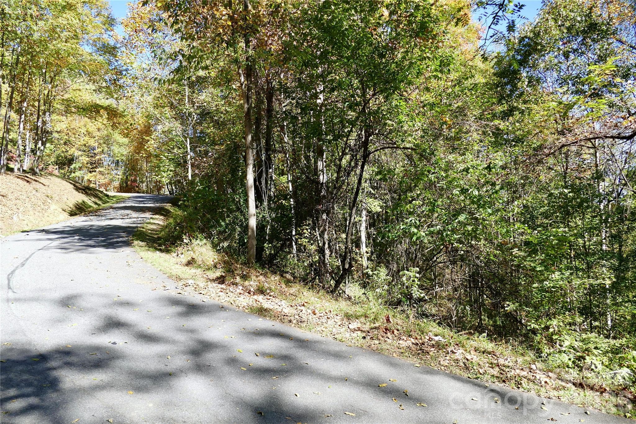 Road along lot - Lot 509 Multiflora Way, Waynesville