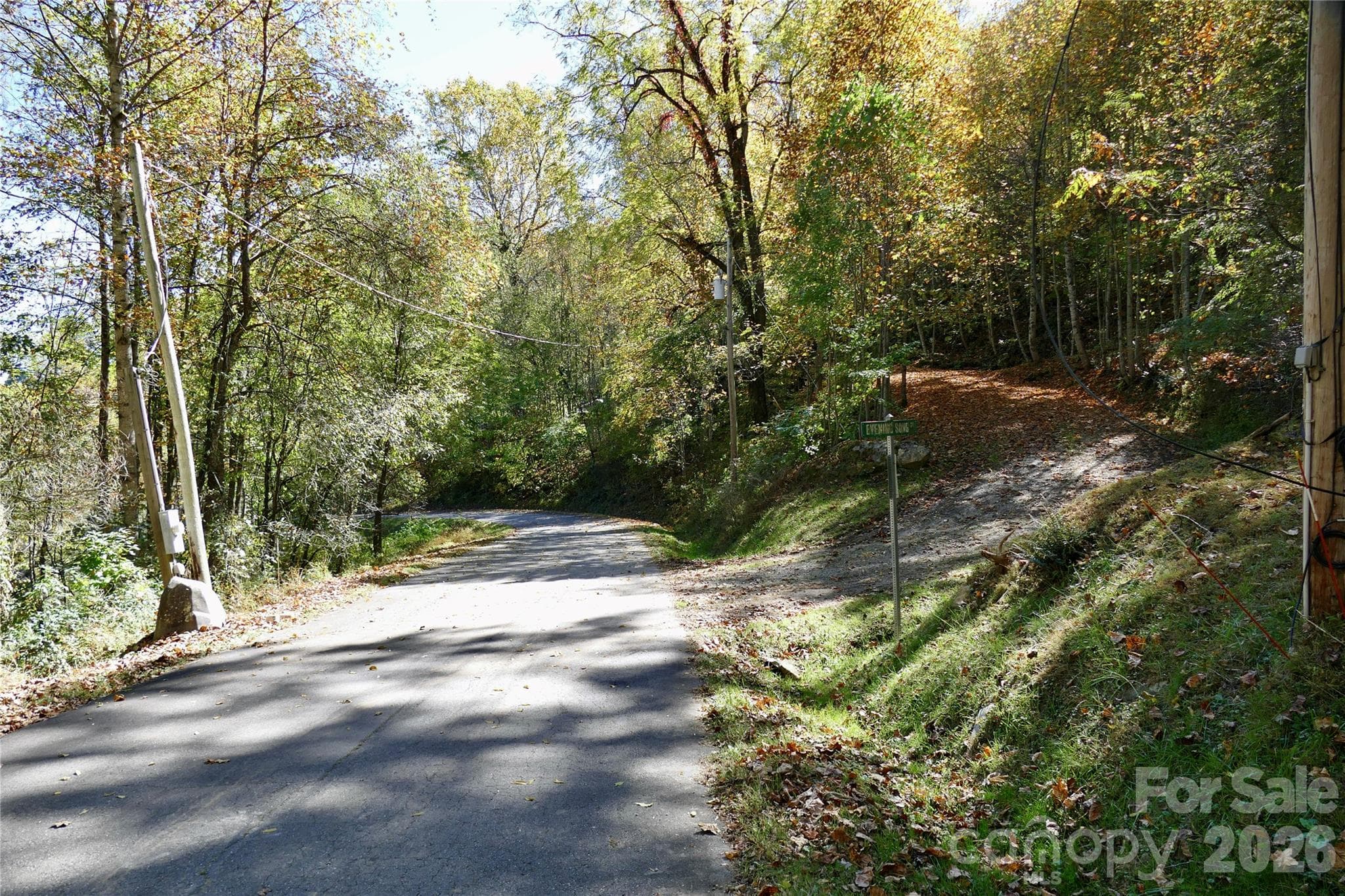 Power pole with well connection access - Lot 509 Multiflora Way, Waynesville