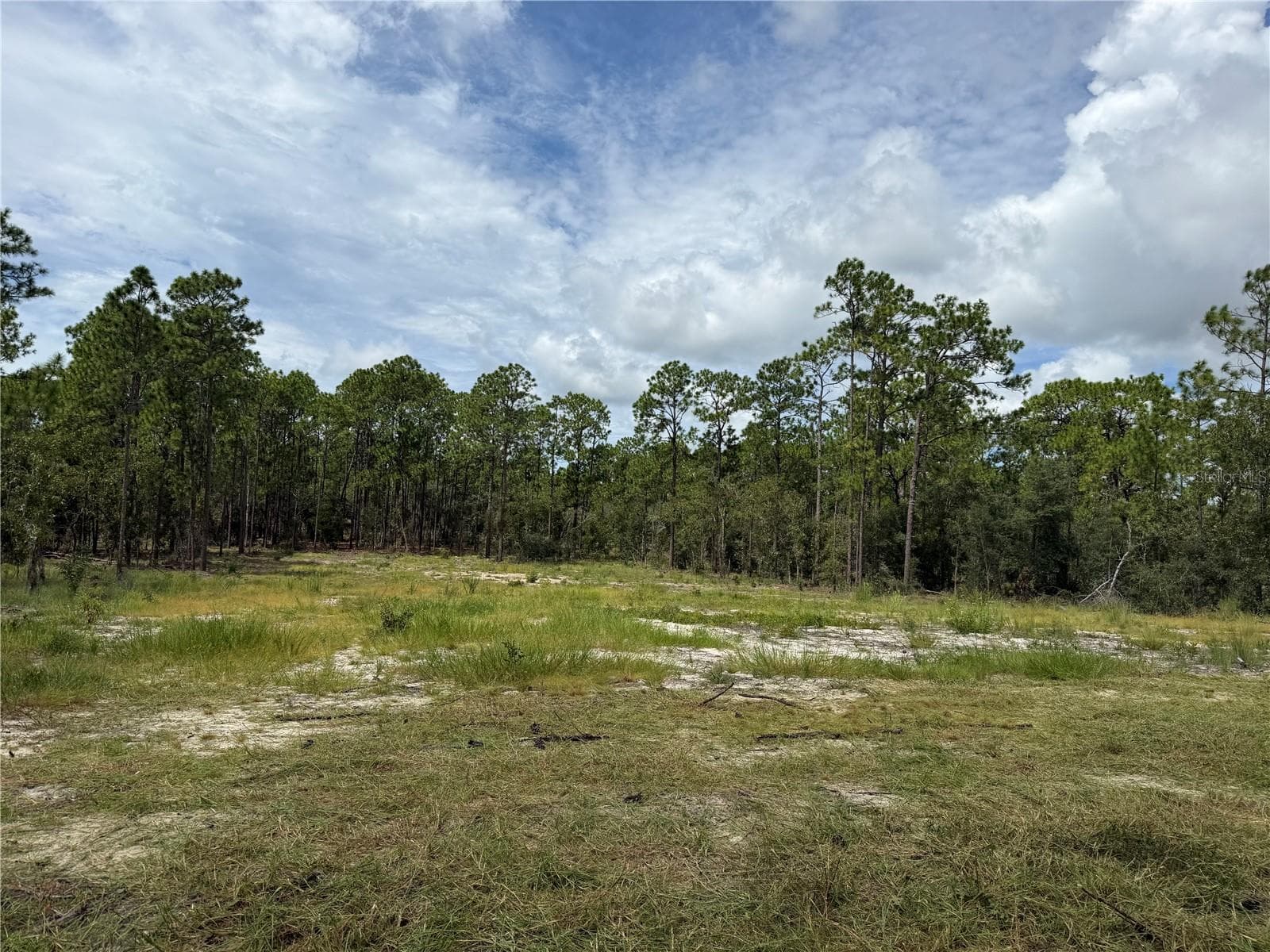 Land at 0000 SE 139TH CT, DUNNELLON, photo 3 of 3
