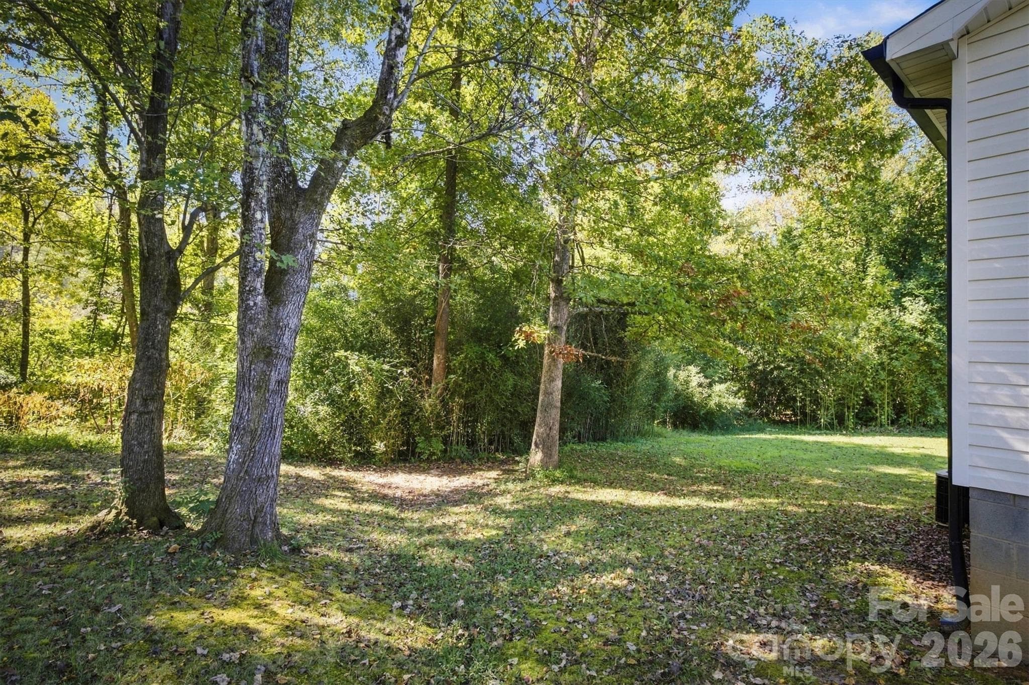 Back Yard - 2476 Watts Street, Morganton