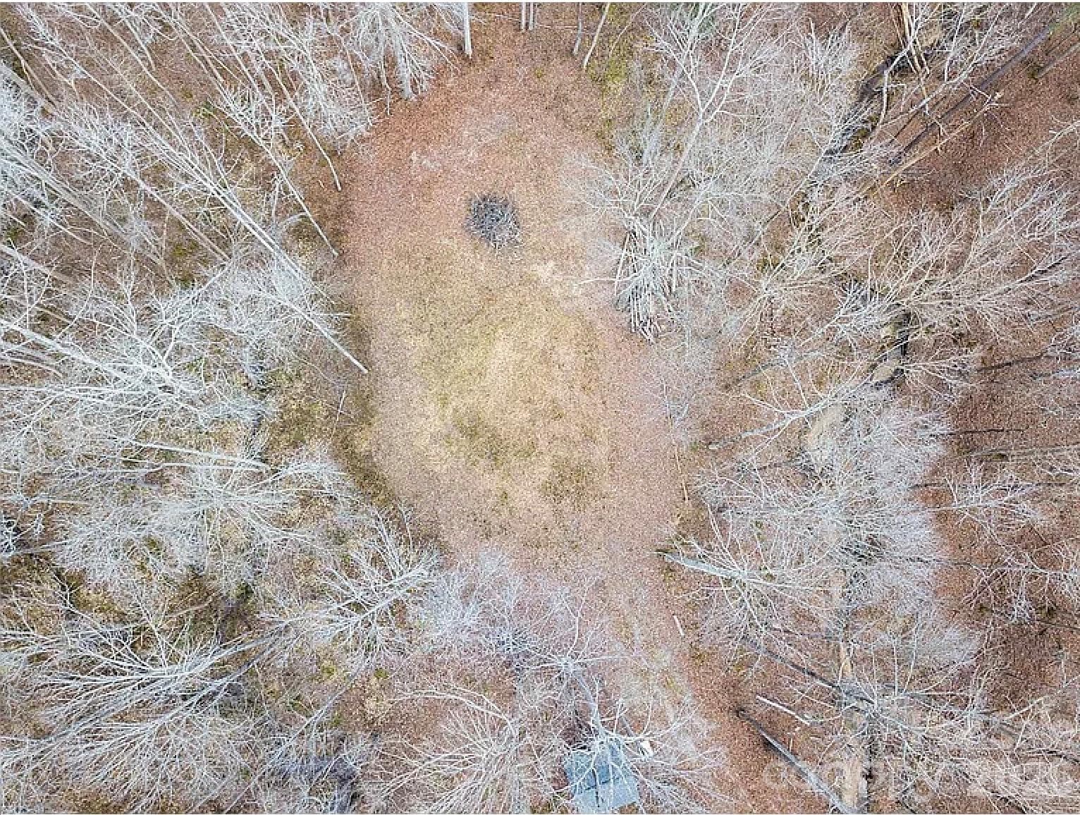 Lot at 6716 Valley Woods Lane, Cary, photo 6 of 6