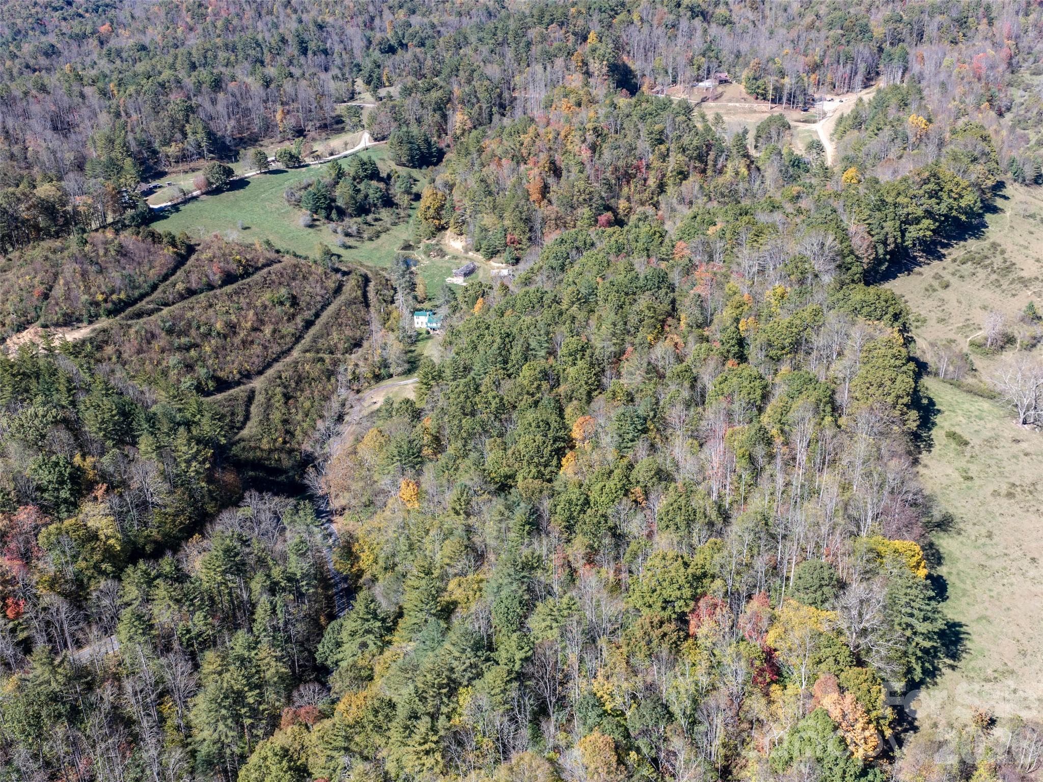Acreage at 00 Shelton Laurel Road, Clyde, photo 3 of 16