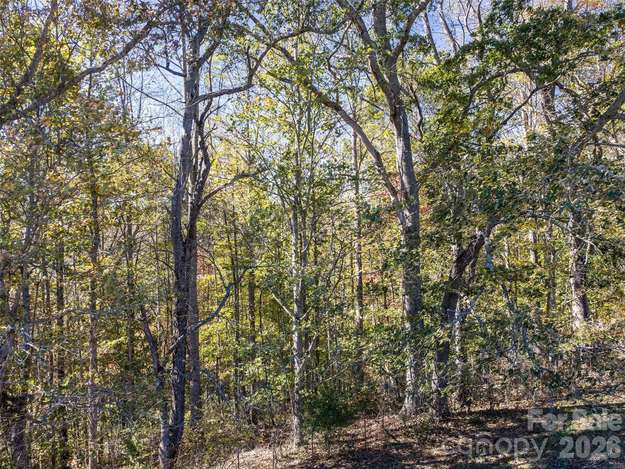 Acreage at 00 Shelton Laurel Road, Clyde, photo 5 of 16