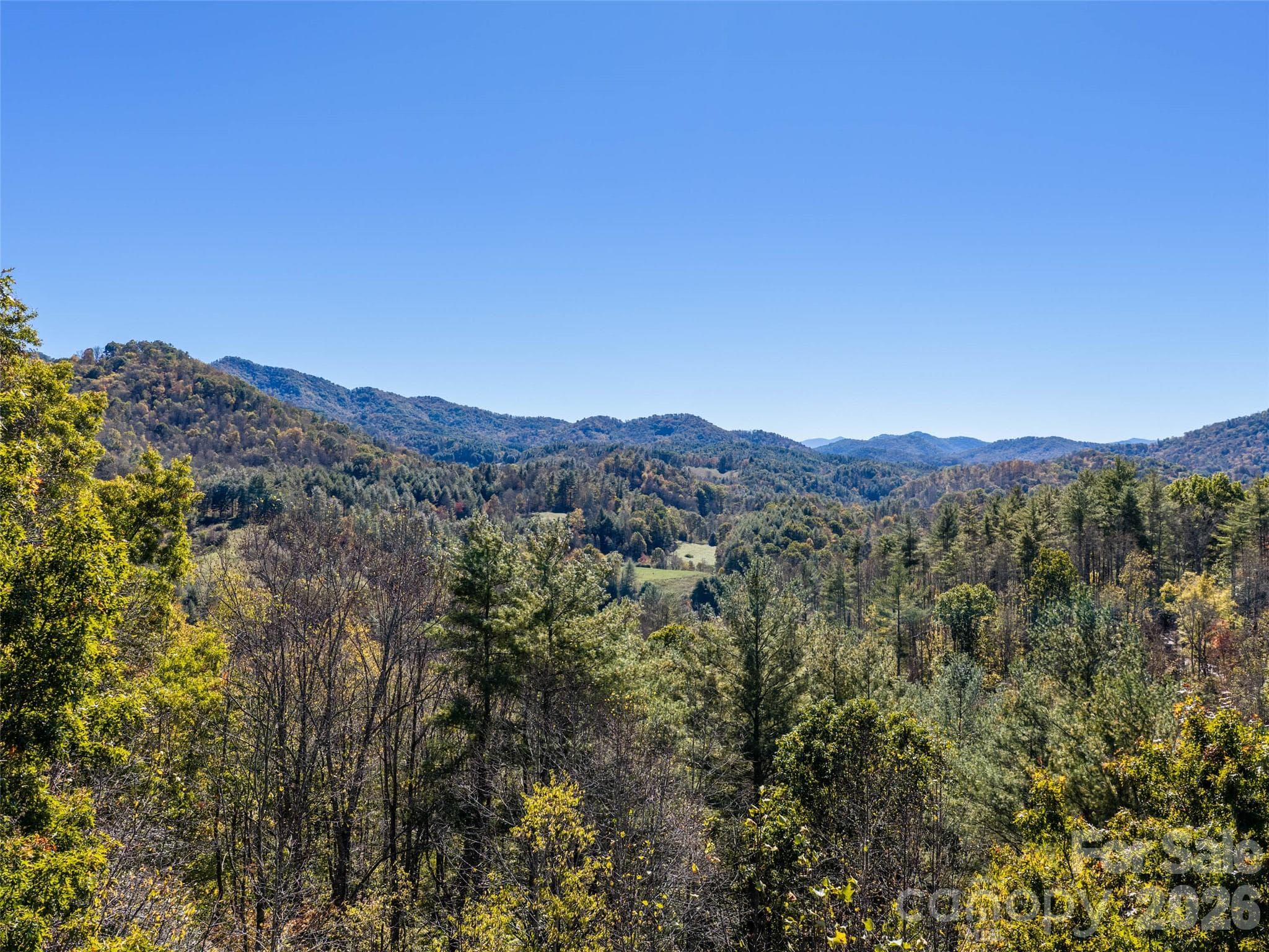 Acreage at 00 Shelton Laurel Road, Clyde, photo 9 of 16