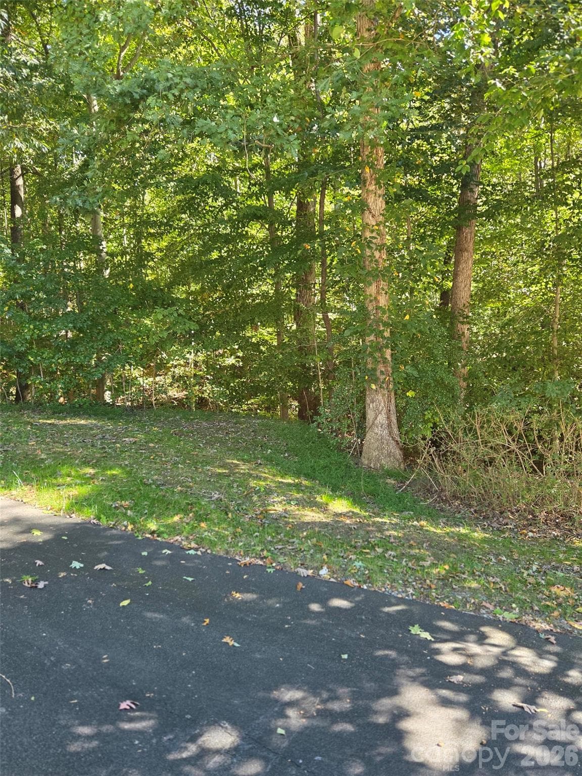 4537 Sadler Road