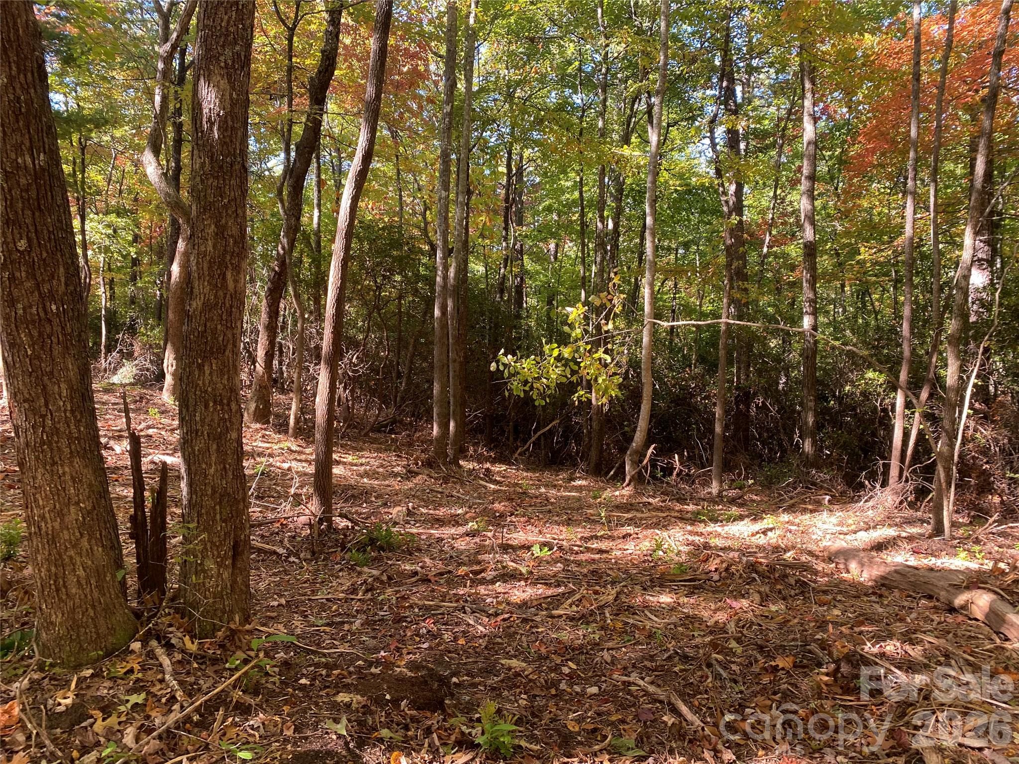 Lot at 24 Oak Brook West Lane, Brevard, photo 2 of 7