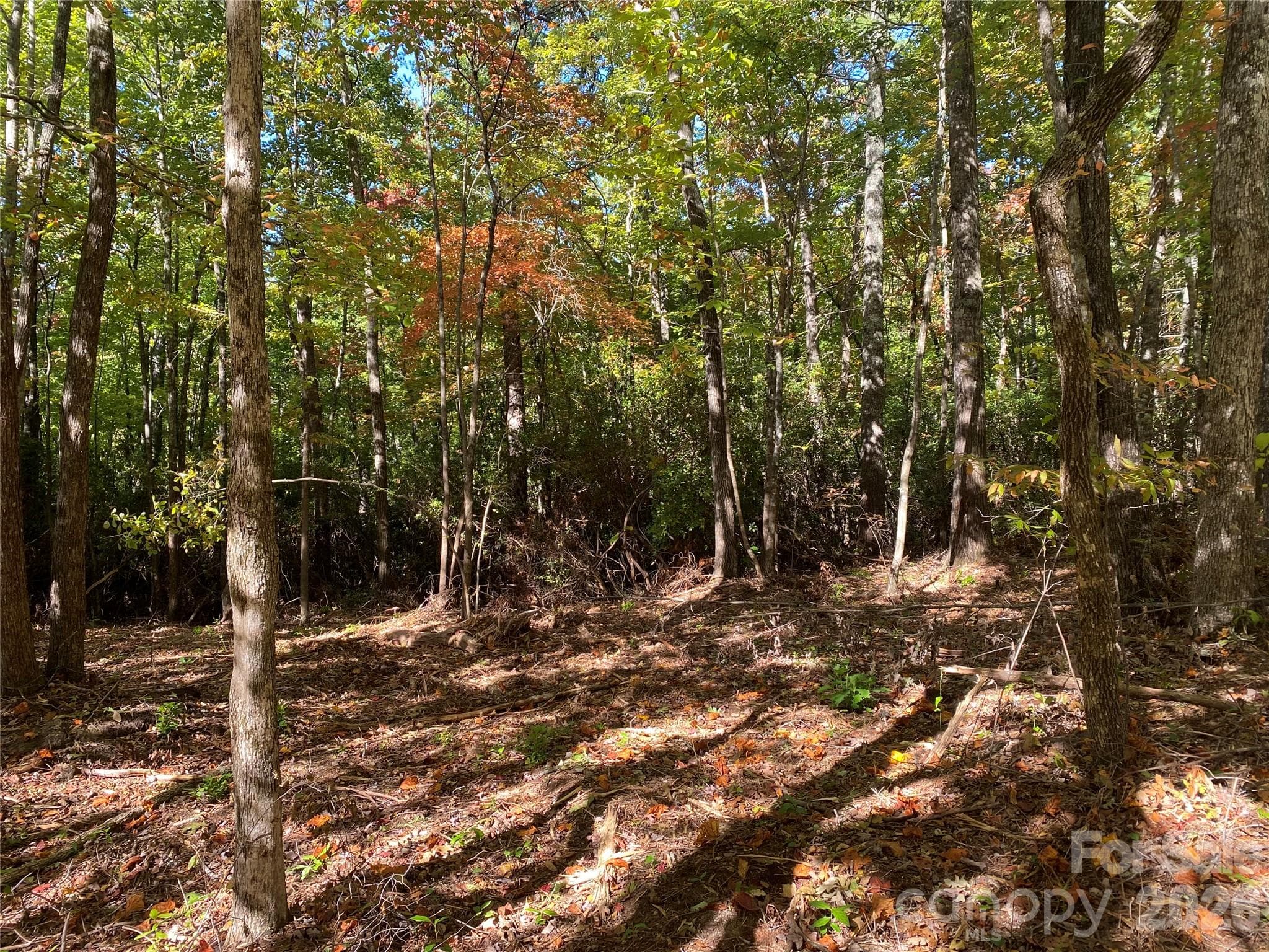 Lot at 24 Oak Brook West Lane, Brevard, photo 4 of 7