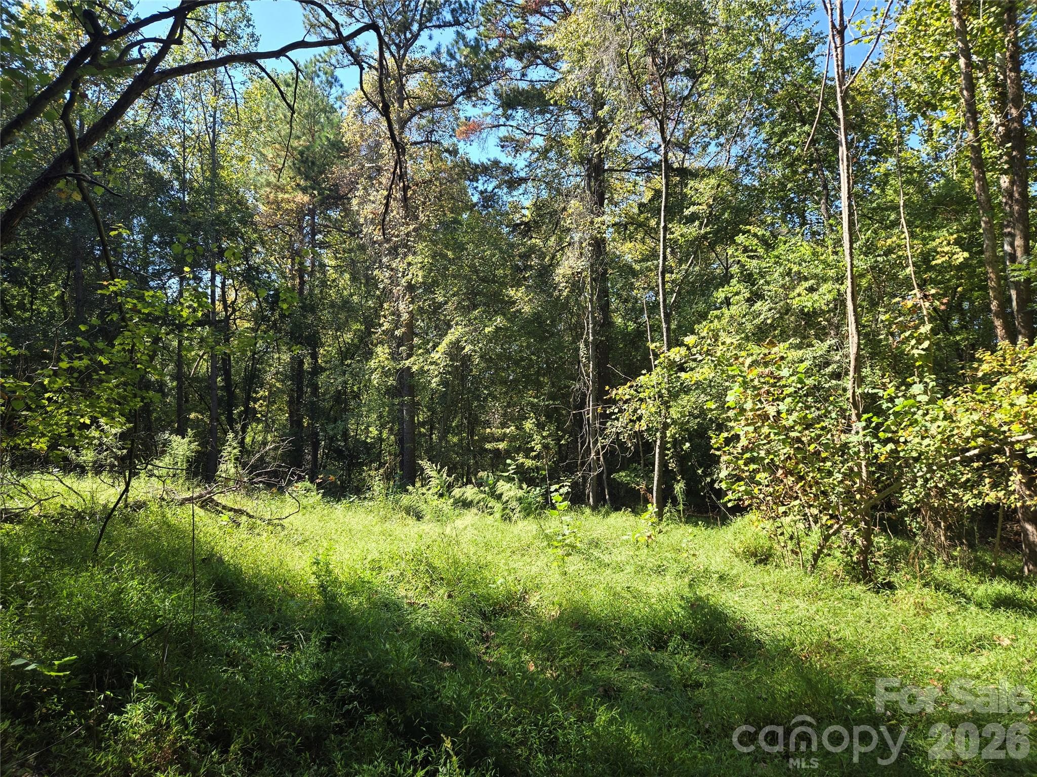 Lot at 0 Cemetery Street, East Bend, photo 8 of 17