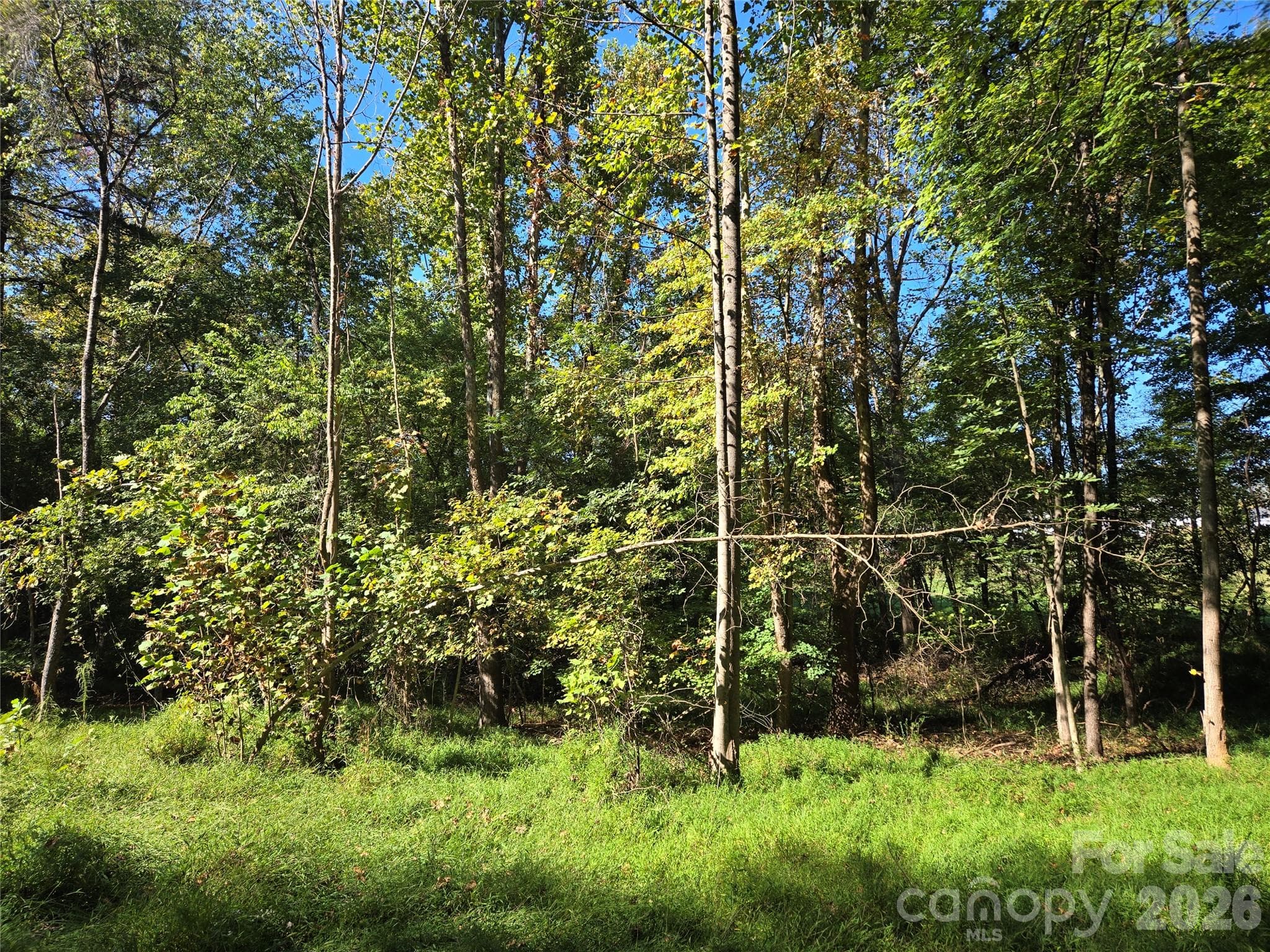 Lot at 0 Cemetery Street, East Bend, photo 10 of 17