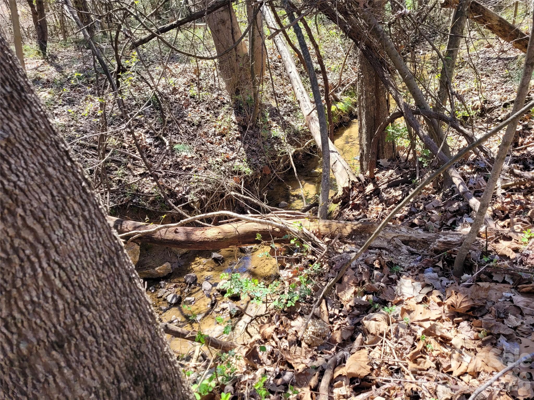 Lot at 0 Cemetery Street, East Bend, photo 16 of 17