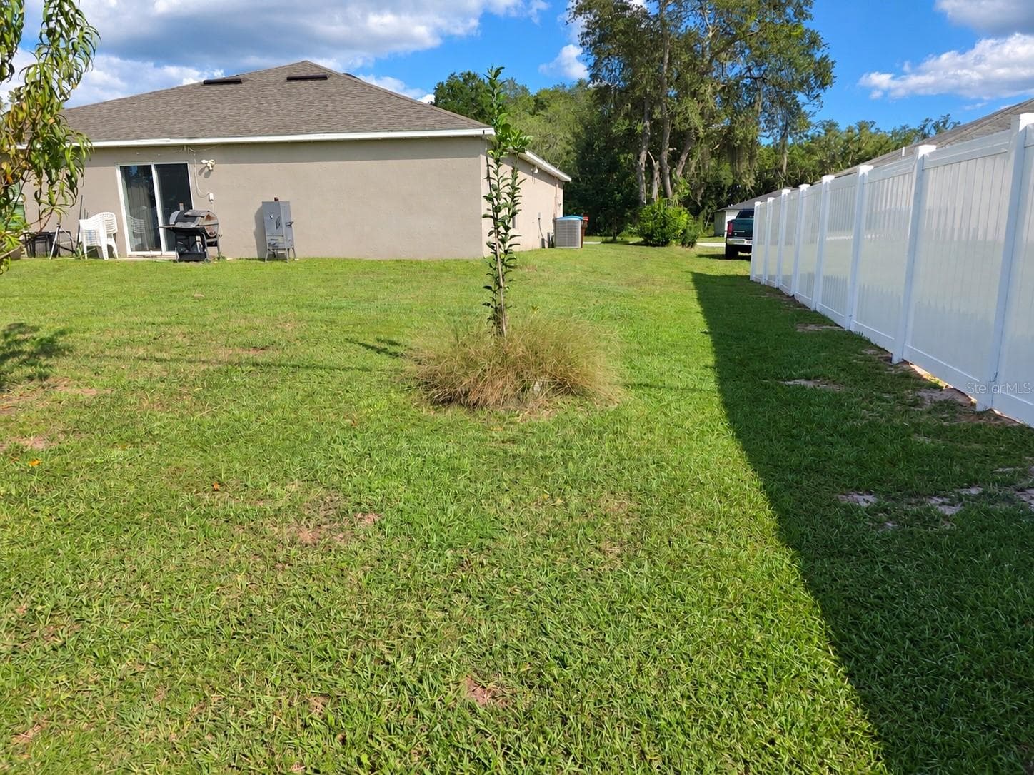 Back Yard - 284 MARION OAKS CRSE, OCALA