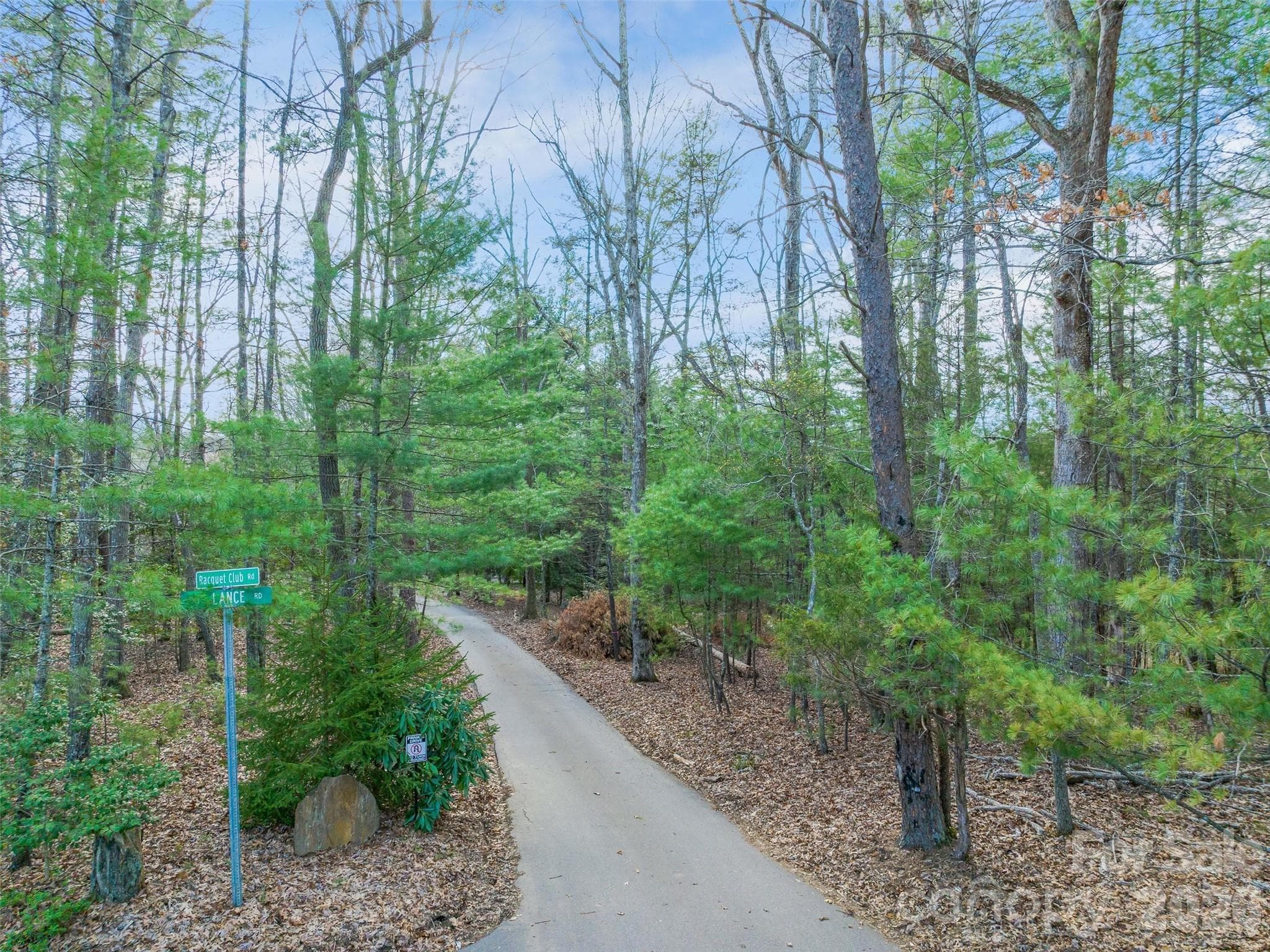 Lot at 99999 Lot 2 Racquet Club Road, Asheville, photo 6 of 22