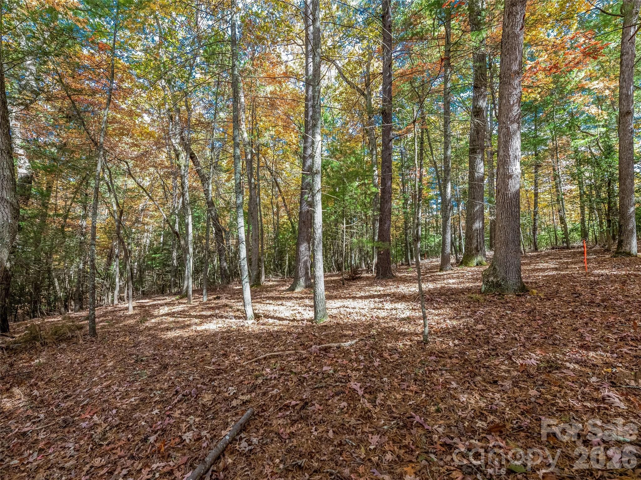 Lot at 99999 Lot 2 Racquet Club Road, Asheville, photo 7 of 22