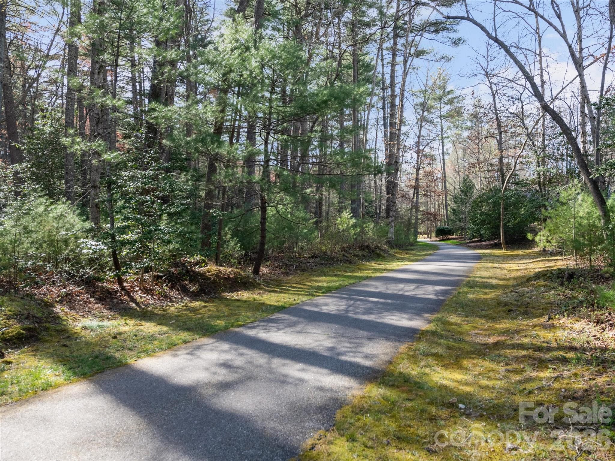 Lot at 99999 Lot 2 Racquet Club Road, Asheville, photo 11 of 22