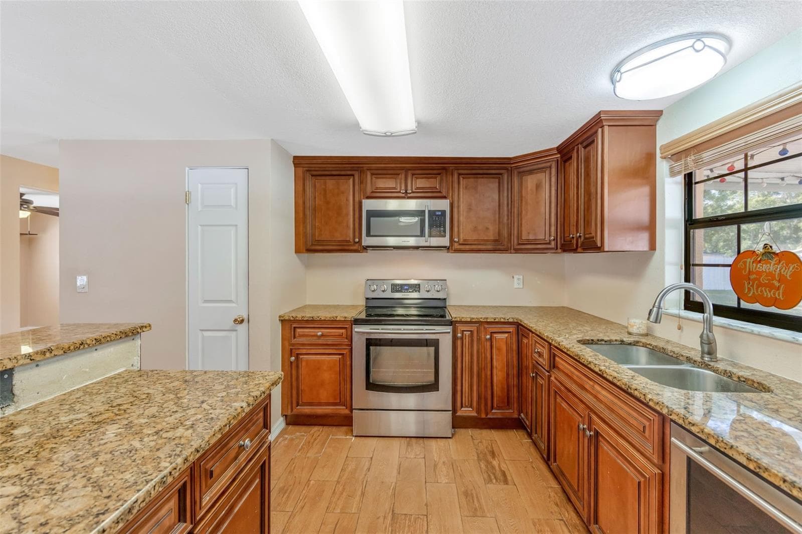 Single Family Residence at 14535 SASSANDRA DR, ODESSA, photo 13 of 50