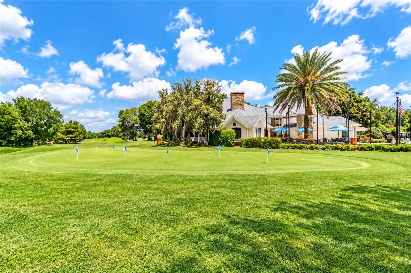 Golf Course Community - 8169 SW 108TH LANE RD, OCALA