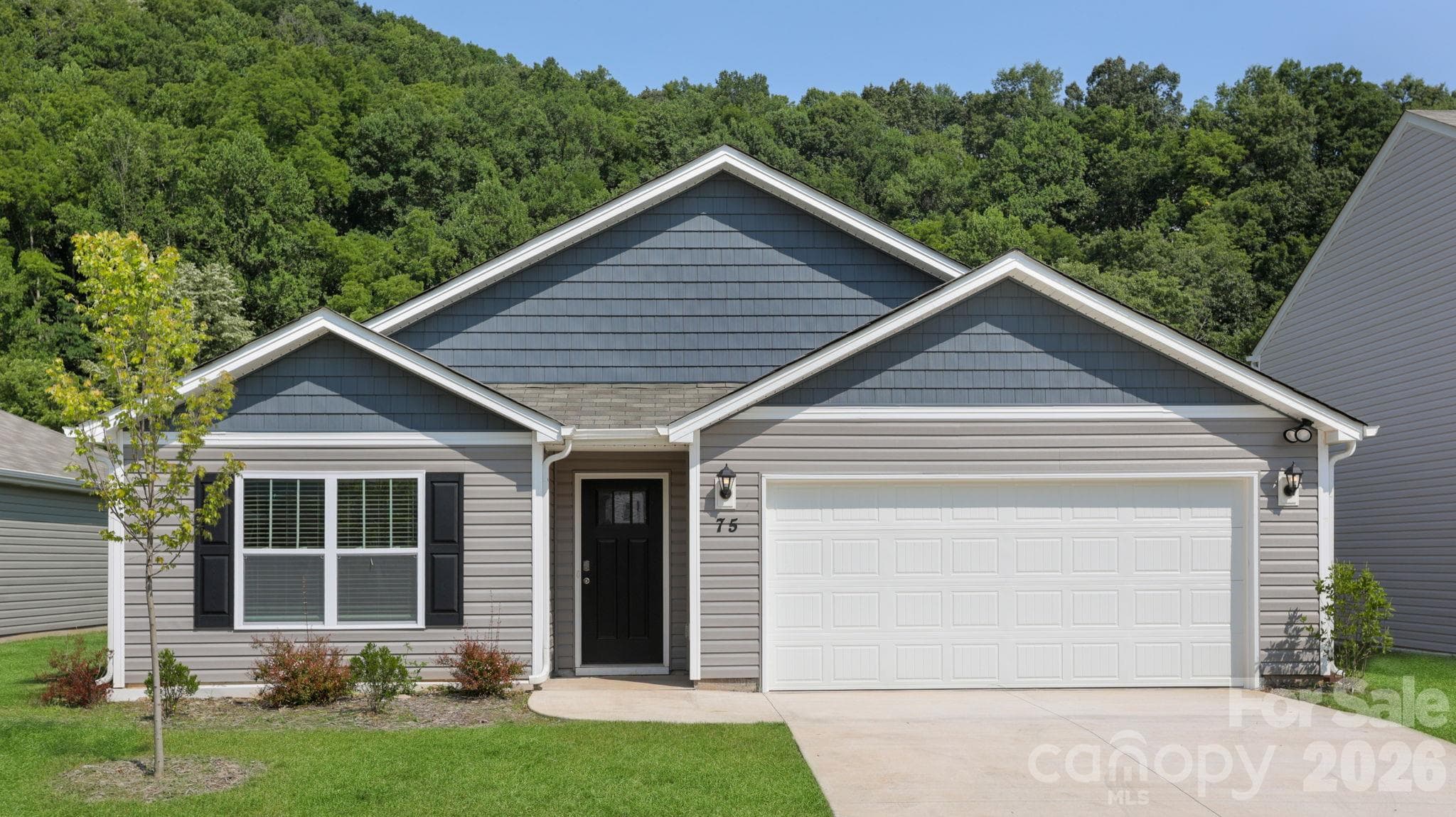 183 Wildbrook Drive