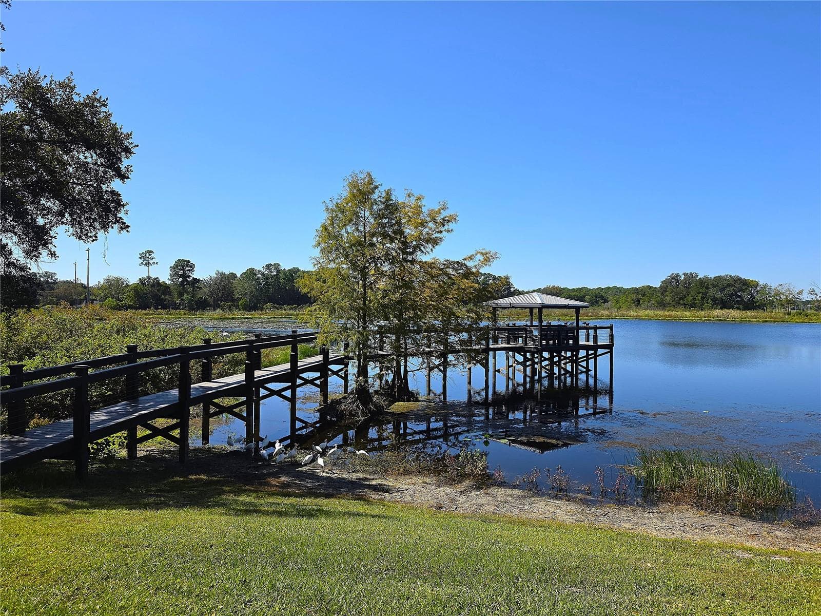 Community Area - 410 VIA TUSCANY LOOP, LAKE MARY