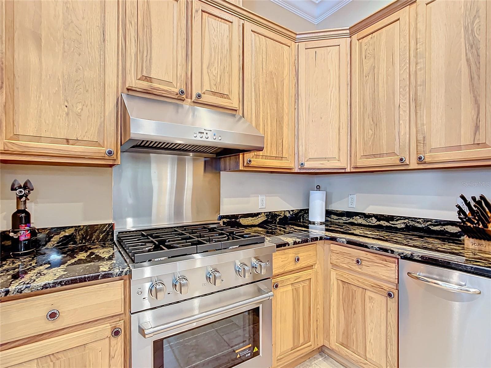 Single Family Residence at 7688 SE 135TH ST, SUMMERFIELD, photo 11 of 89