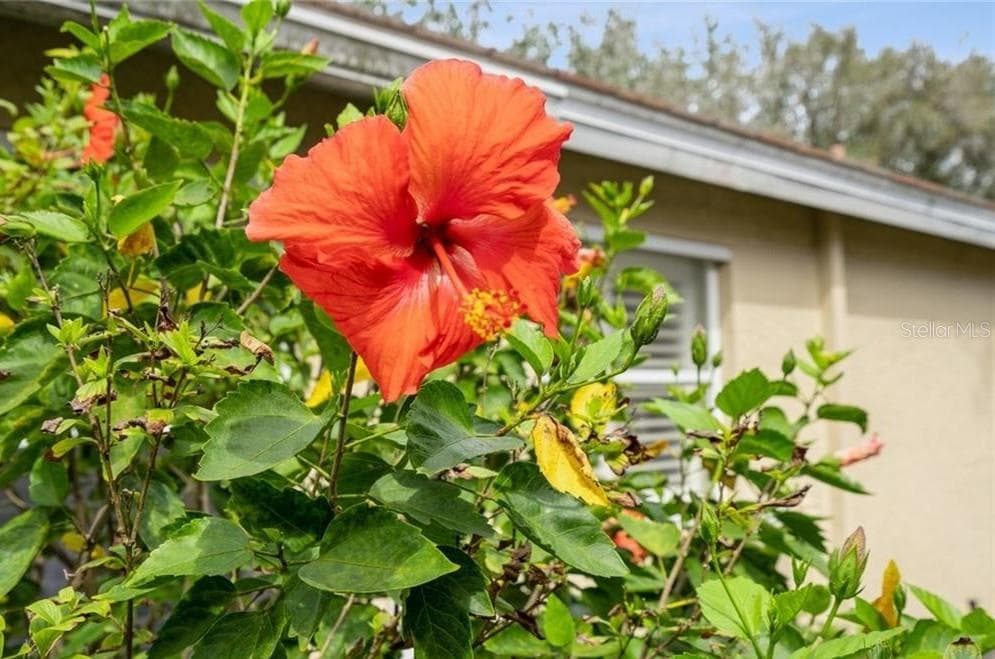 Villa at 2291 GRANBY DR, LEHIGH ACRES, photo 15 of 31