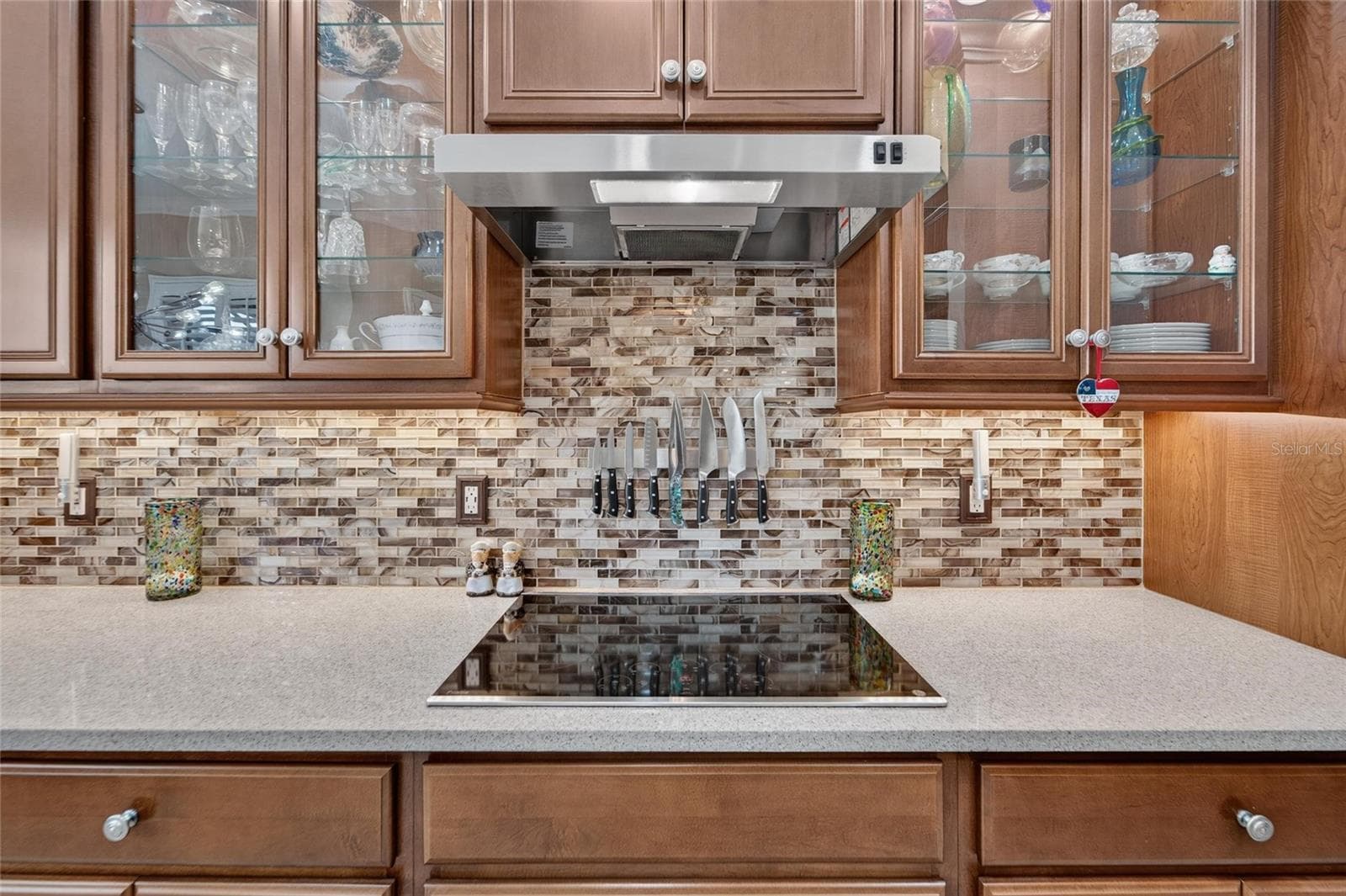 Kitchen Cabinetry Detail - 16301 GARNET GLEN PL, WIMAUMA