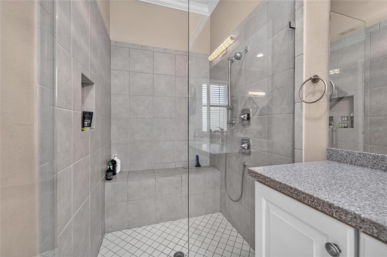 Primary Bath Frameless Shower - 16301 GARNET GLEN PL, WIMAUMA