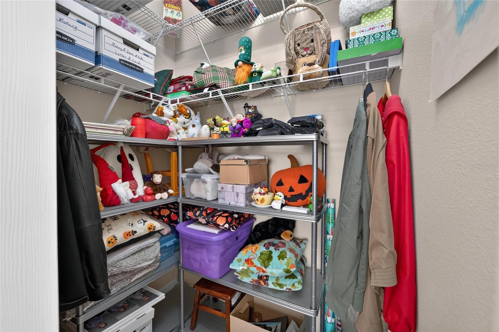 Extra Interior Storage - 16301 GARNET GLEN PL, WIMAUMA