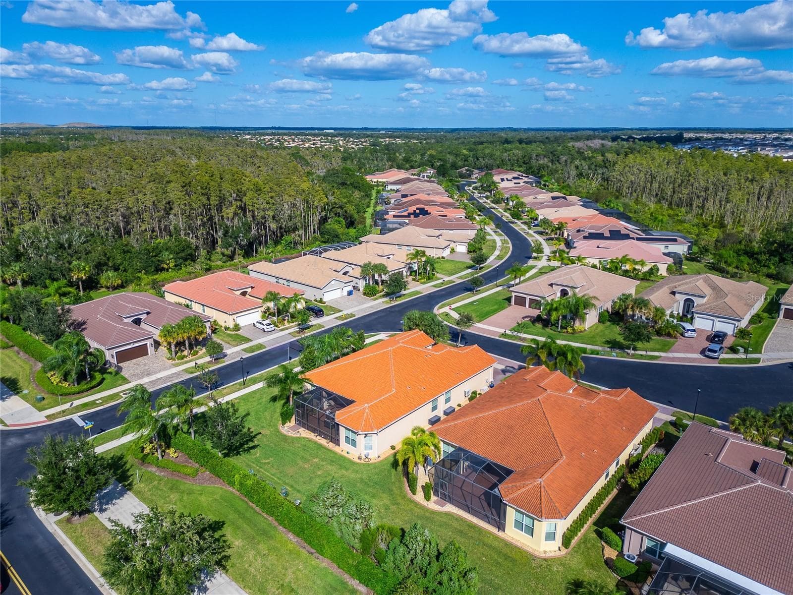 Single Family Residence at 16301 GARNET GLEN PL, WIMAUMA, photo 81 of 87