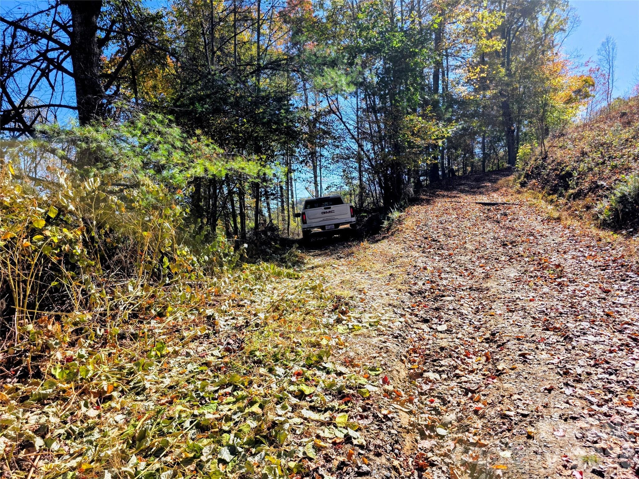 Acreage at 00 Big Brush Creek Road, Green Mountain, photo 3 of 15