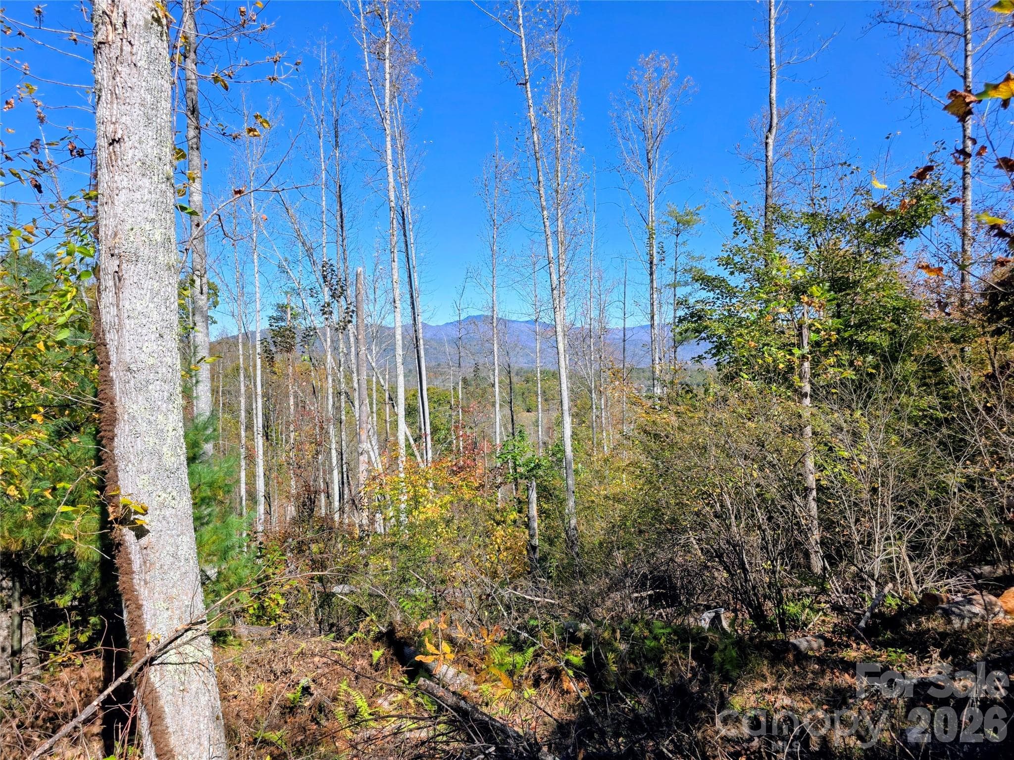 Acreage at 00 Big Brush Creek Road, Green Mountain, photo 4 of 15