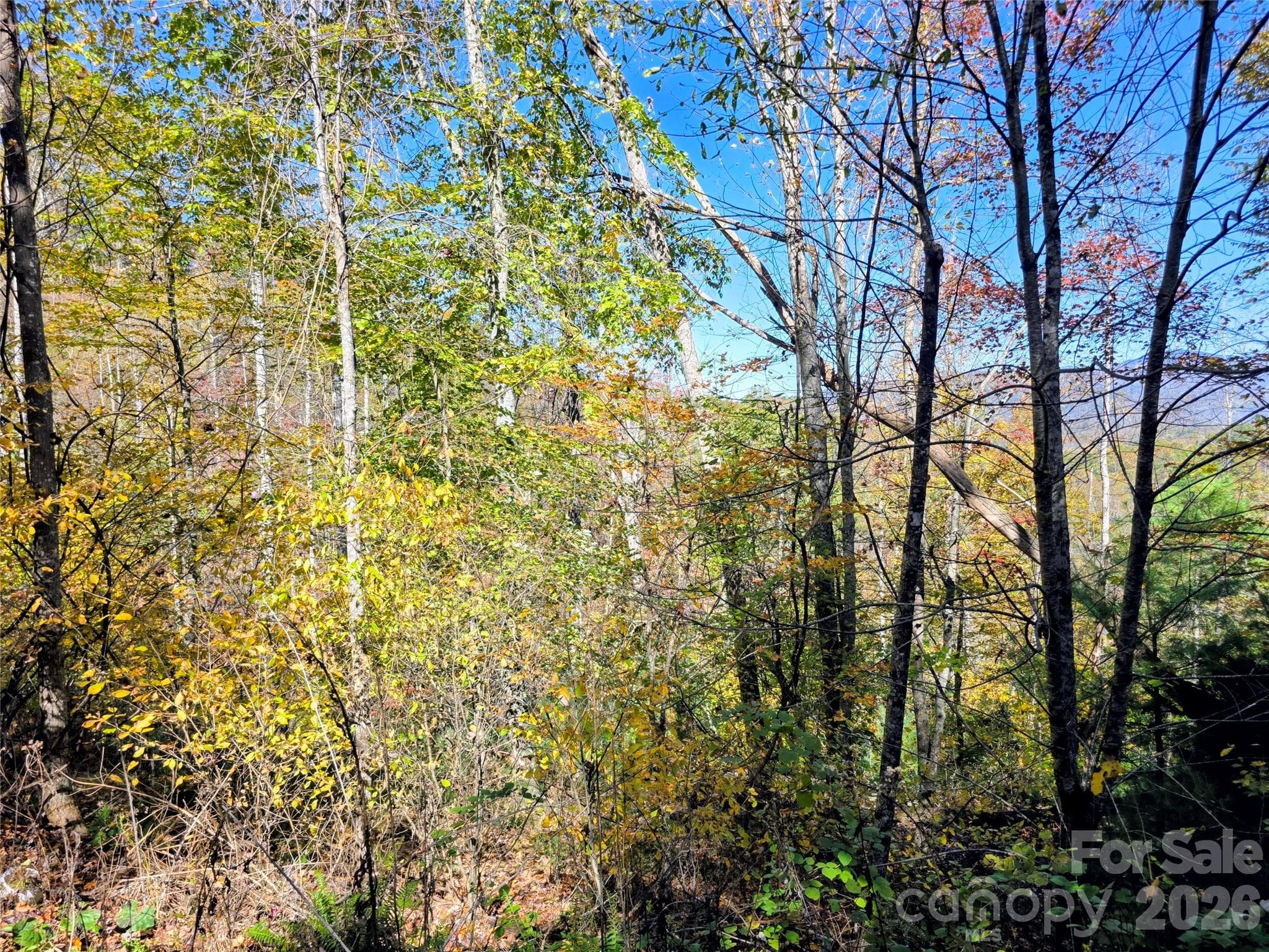 Acreage at 00 Big Brush Creek Road, Green Mountain, photo 6 of 15