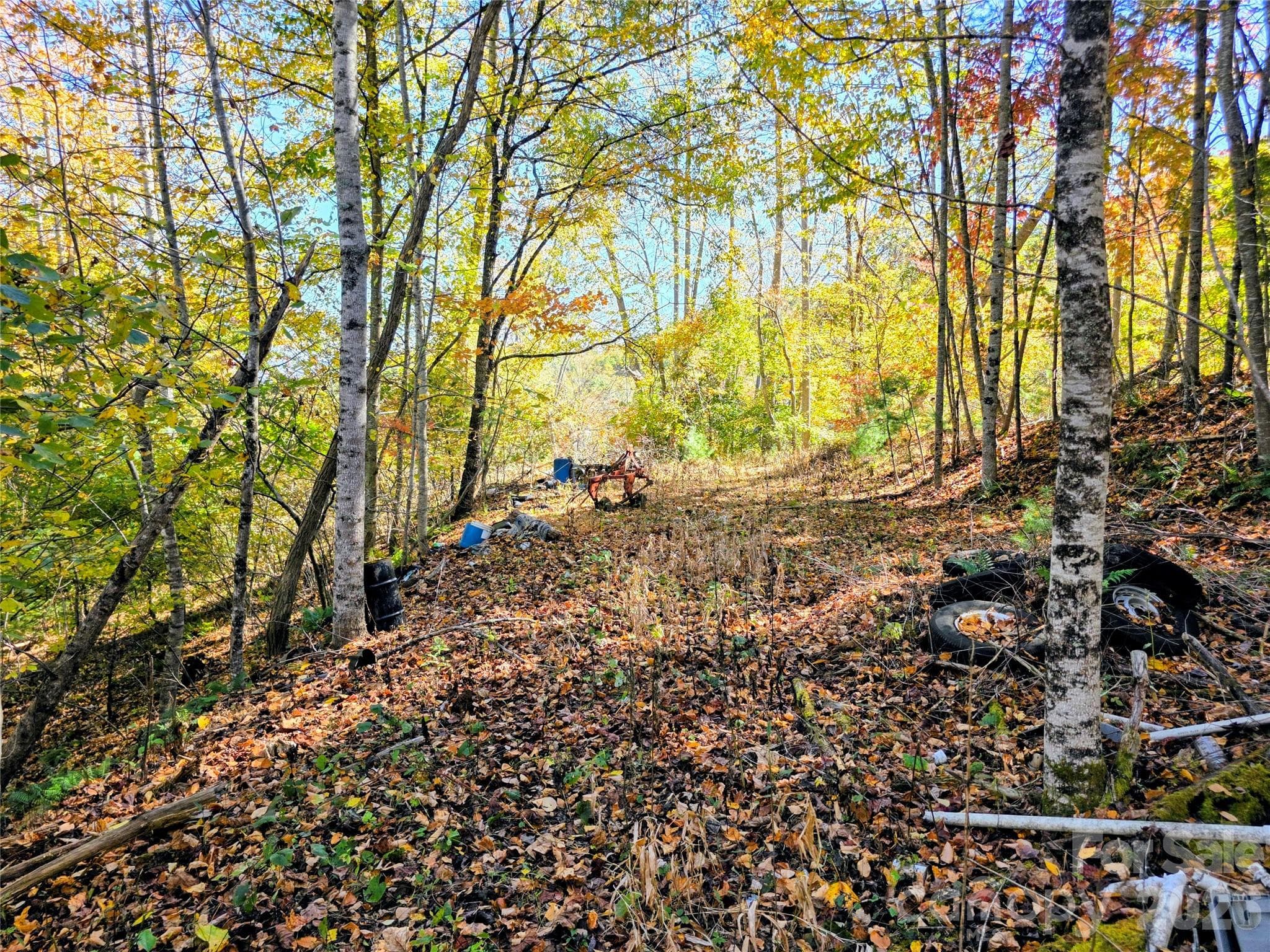 Acreage at 00 Big Brush Creek Road, Green Mountain, photo 7 of 15