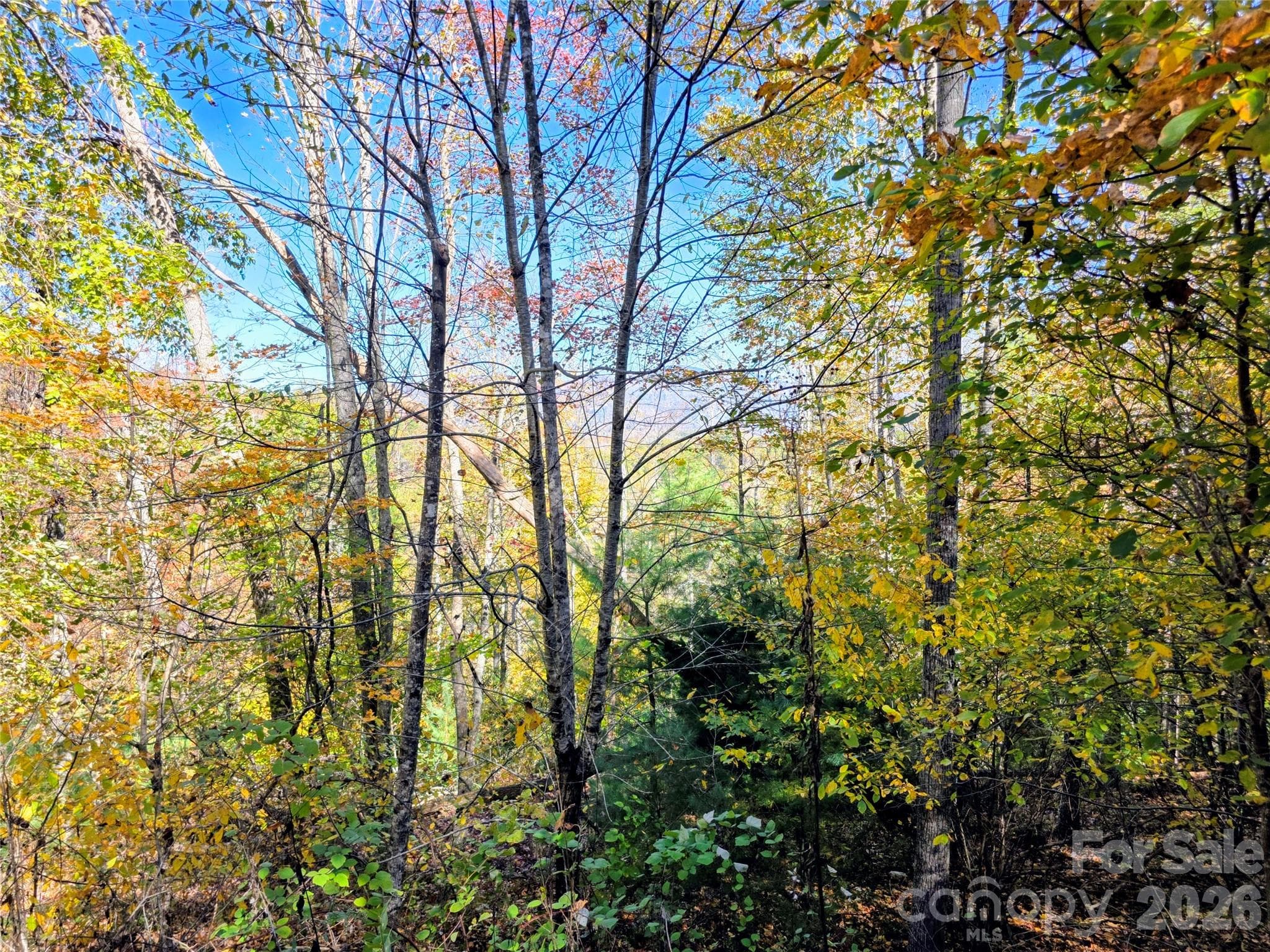 Acreage at 00 Big Brush Creek Road, Green Mountain, photo 8 of 15