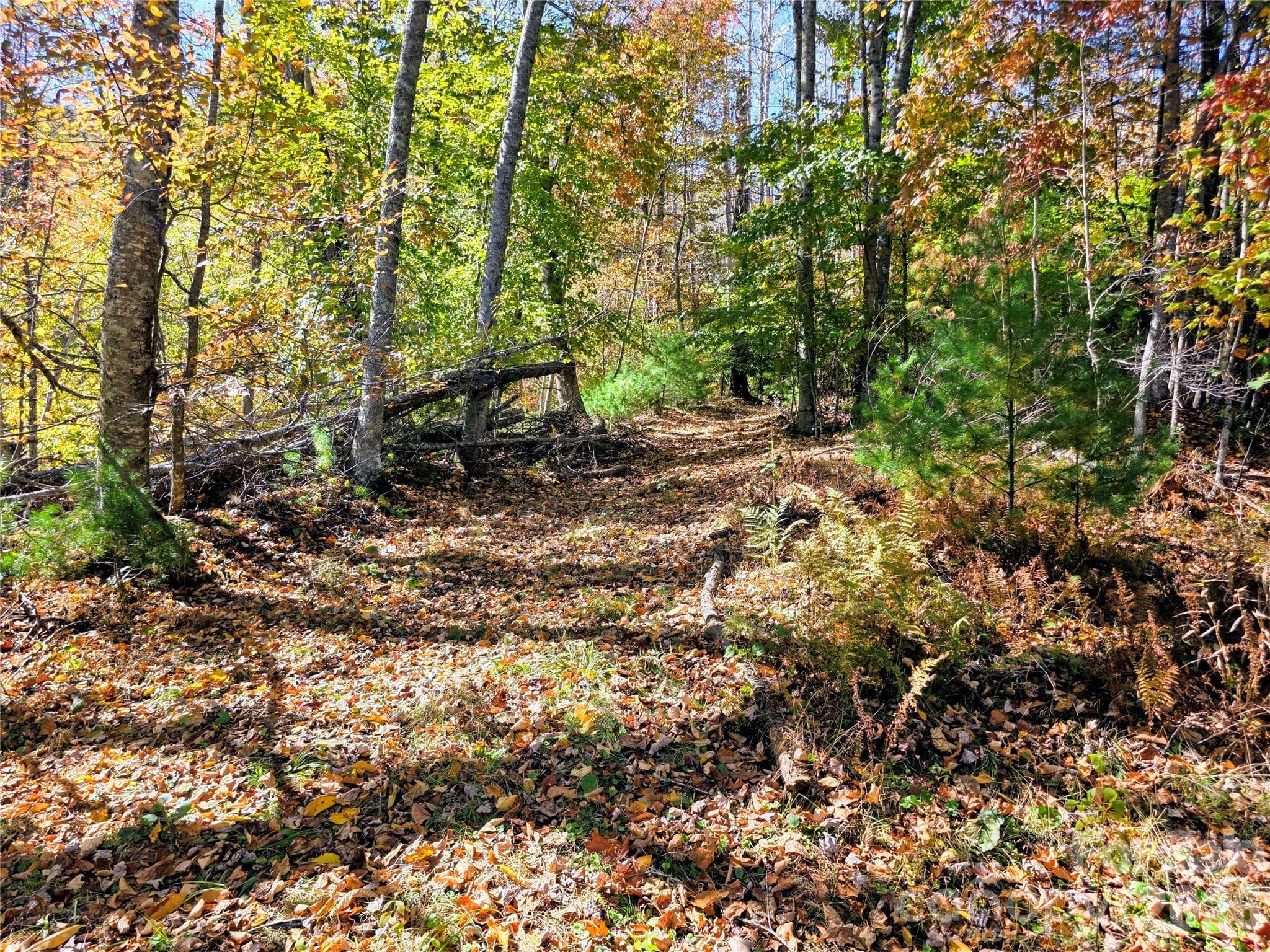 Acreage at 00 Big Brush Creek Road, Green Mountain, photo 9 of 15