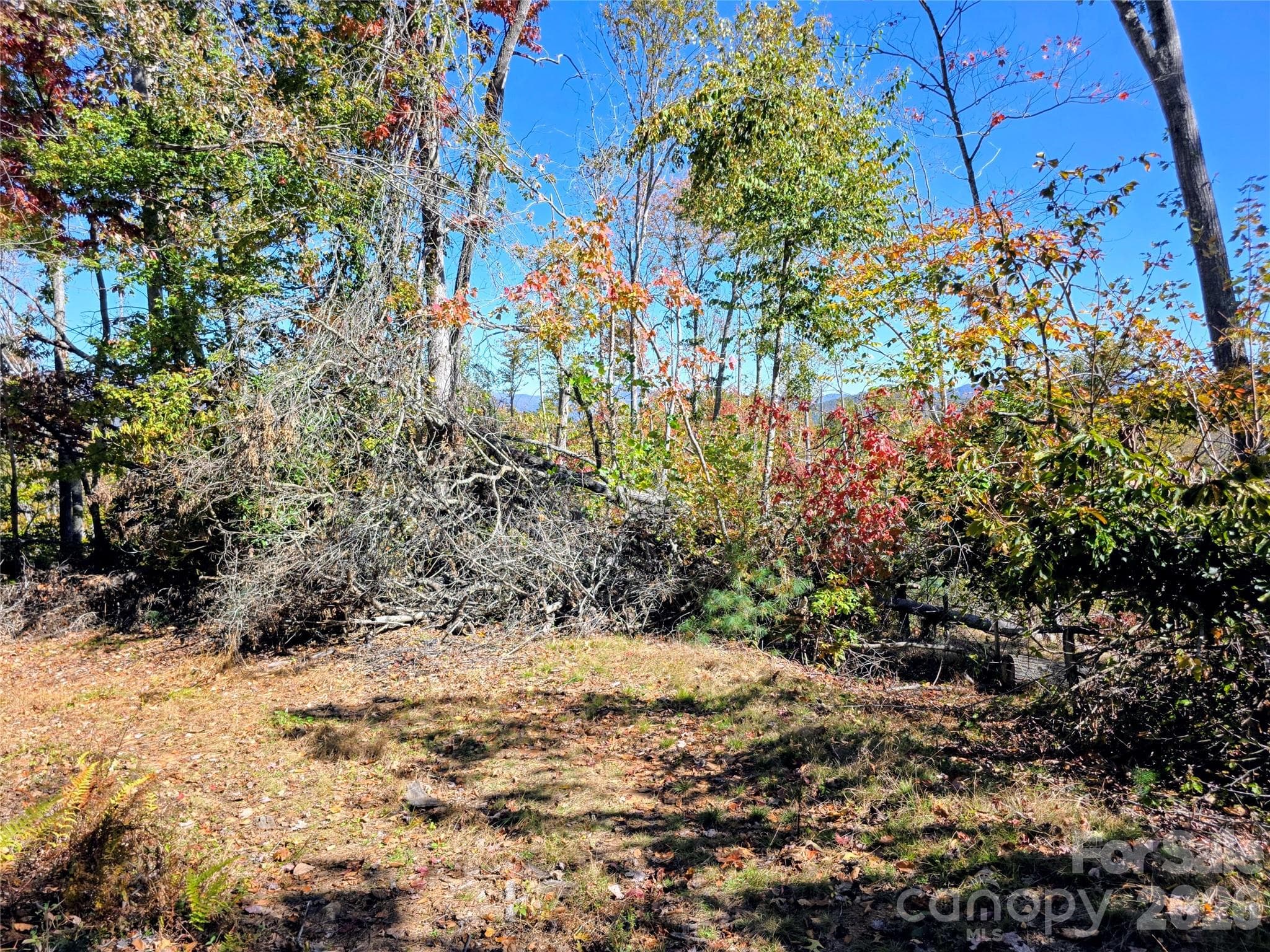 Acreage at 00 Big Brush Creek Road, Green Mountain, photo 11 of 15