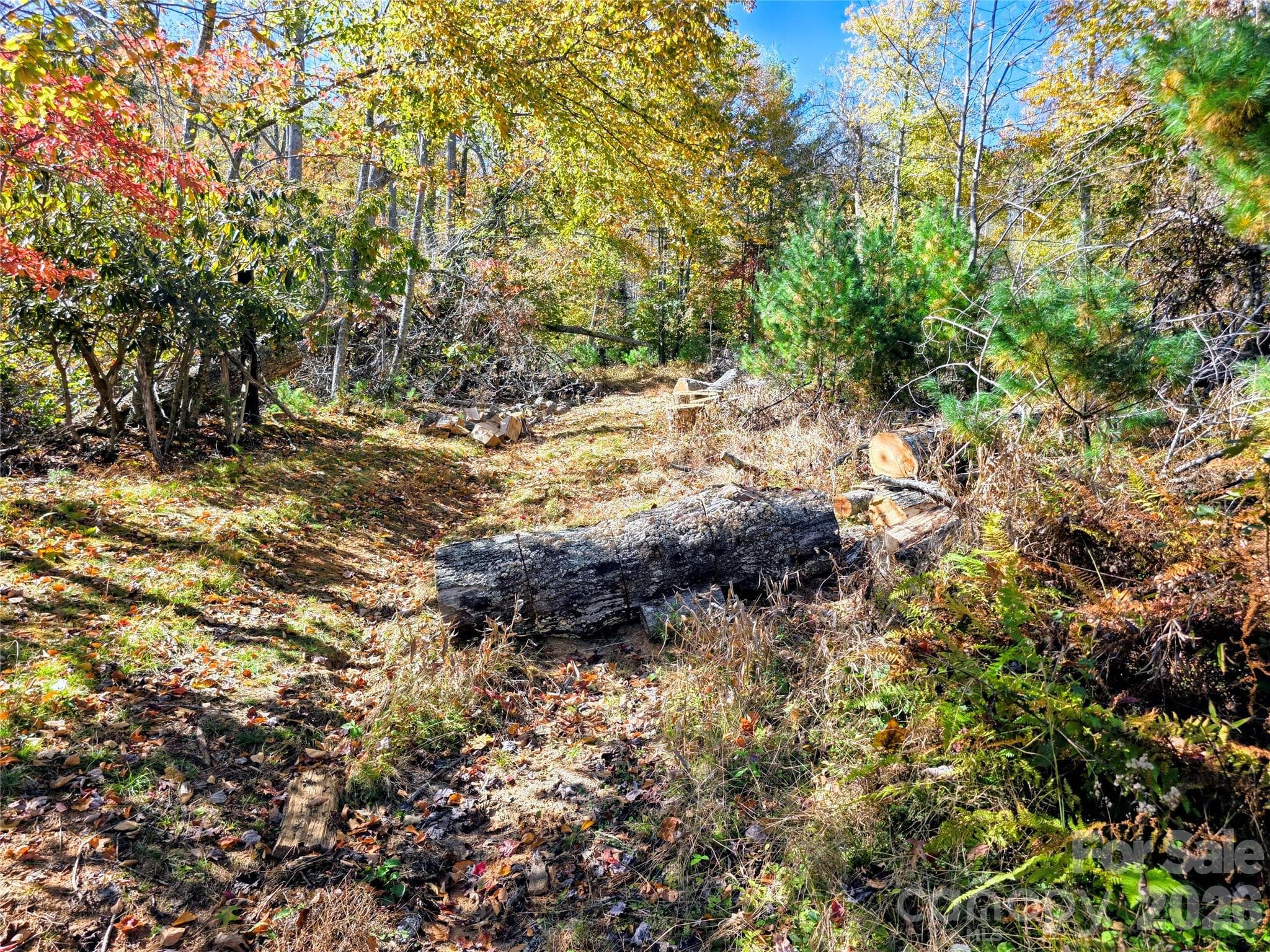 Acreage at 00 Big Brush Creek Road, Green Mountain, photo 12 of 15