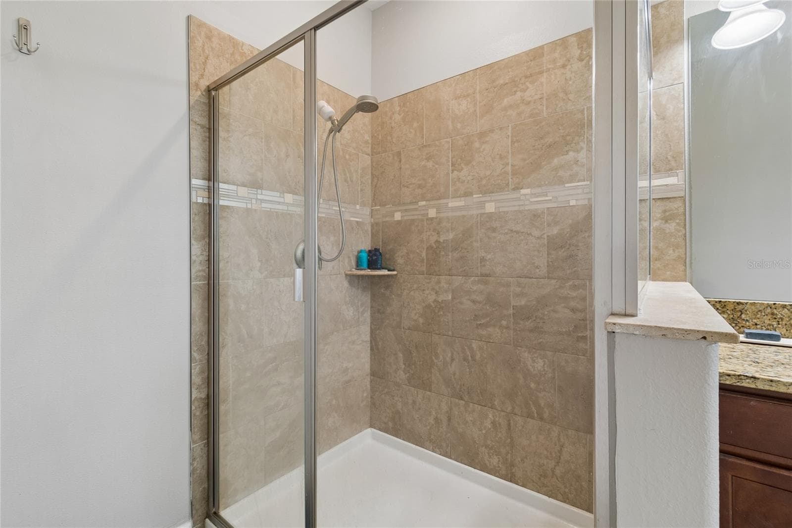 Single Family Residence at 13170 GREEN VIOLET DR, RIVERVIEW, photo 31 of 100