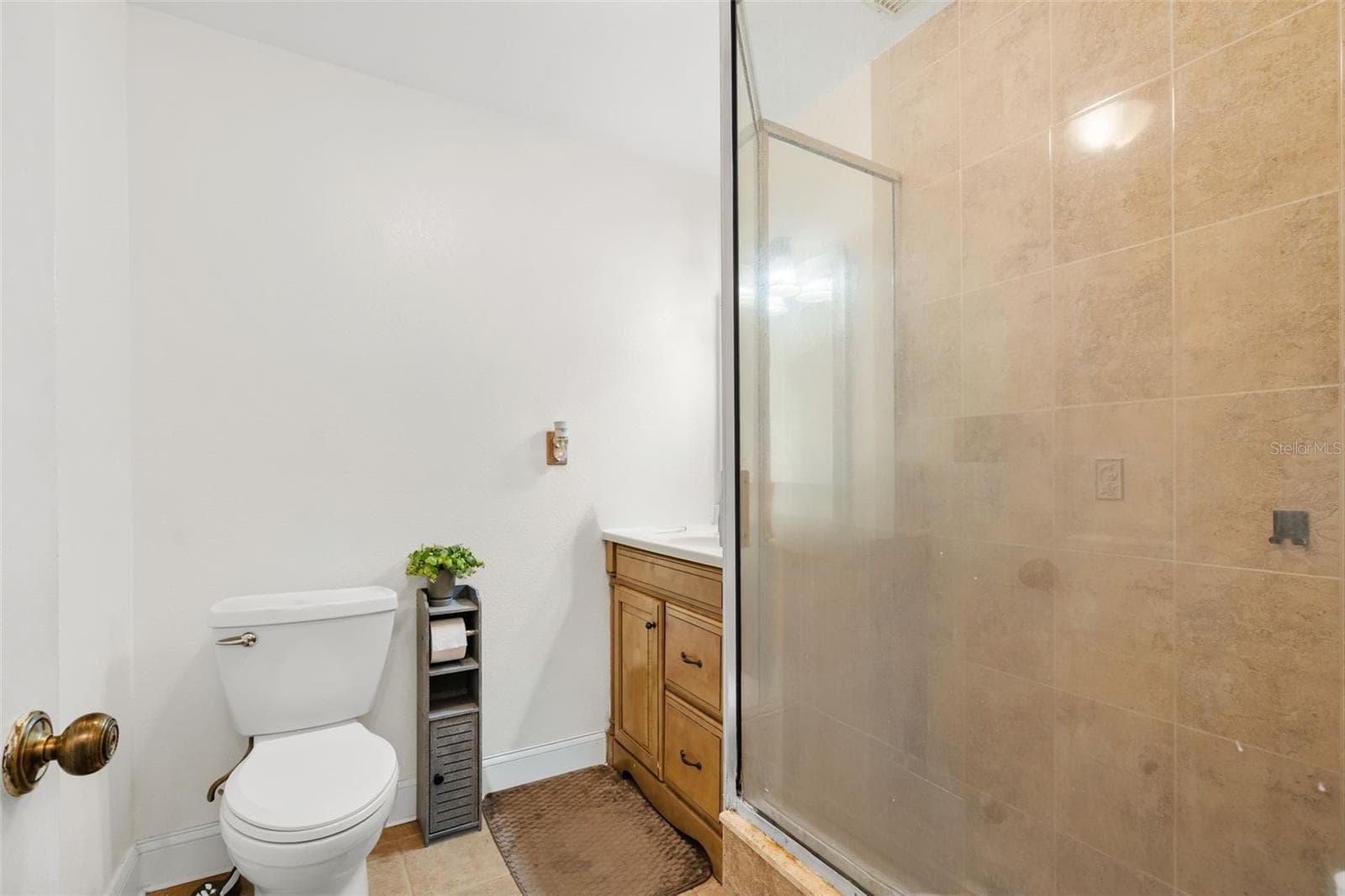 Single Family Residence at 334 HOLLOWTREE DR, SEFFNER, photo 19 of 48