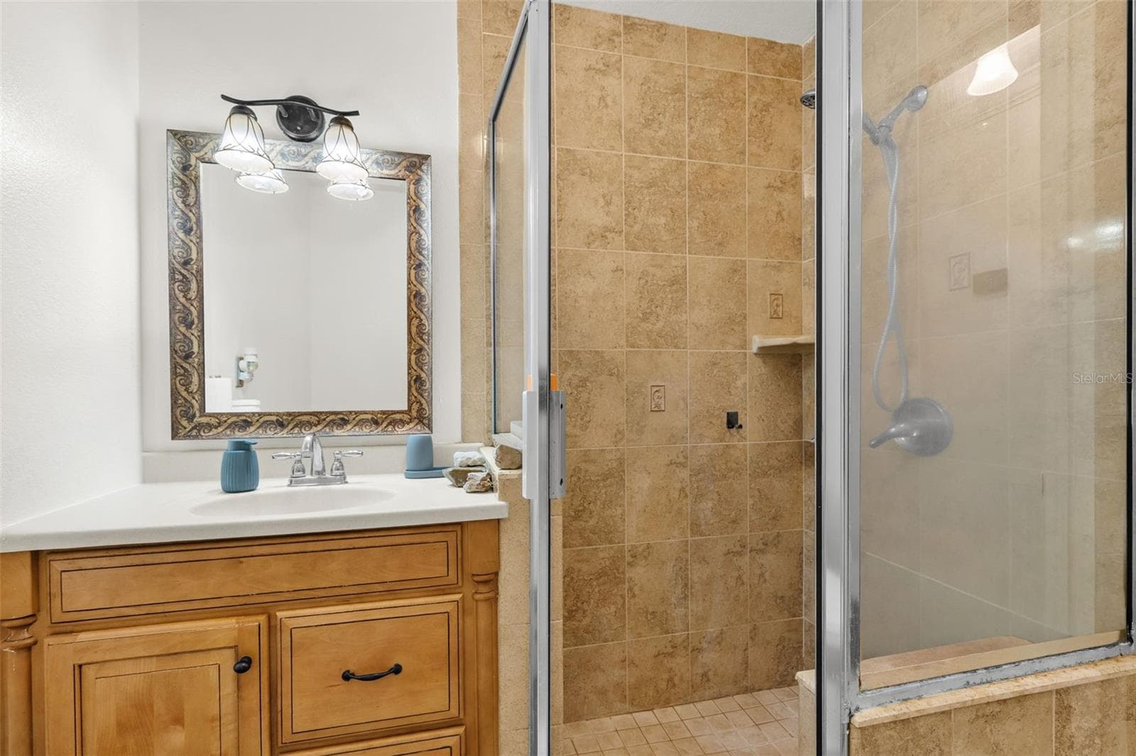 Single Family Residence at 334 HOLLOWTREE DR, SEFFNER, photo 20 of 48
