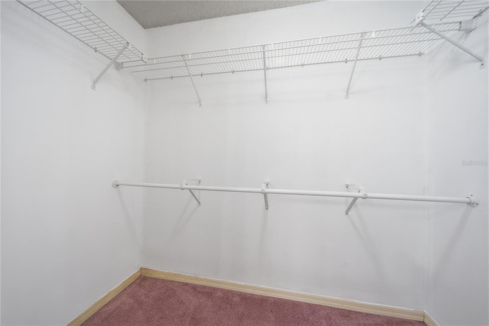 Walk-In Closet - 9801 CREEK CROSS ST, TAMPA