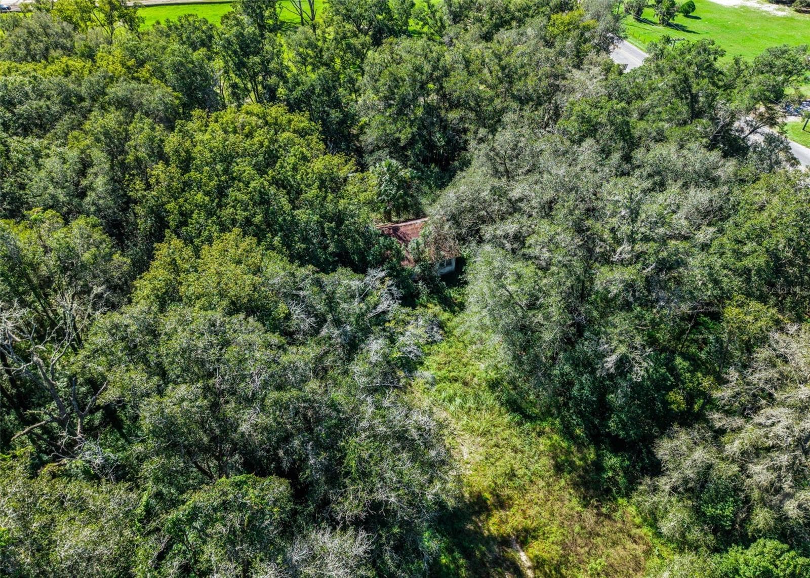 Land at 21520 COUNTY ROAD 44A, EUSTIS, photo 10 of 20