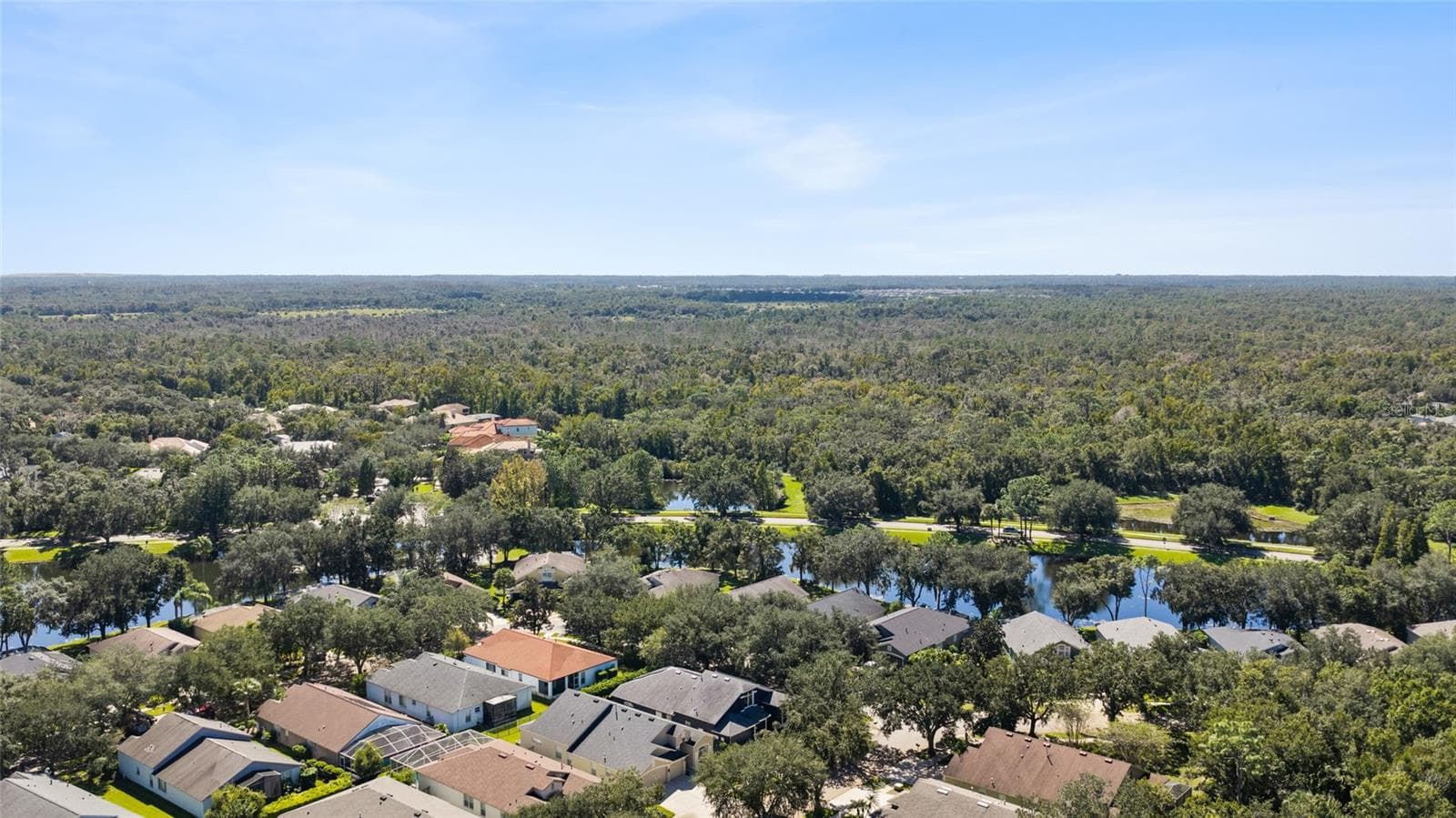 Single Family Residence at 6020 MARTINGLADE PL, LITHIA, photo 54 of 75