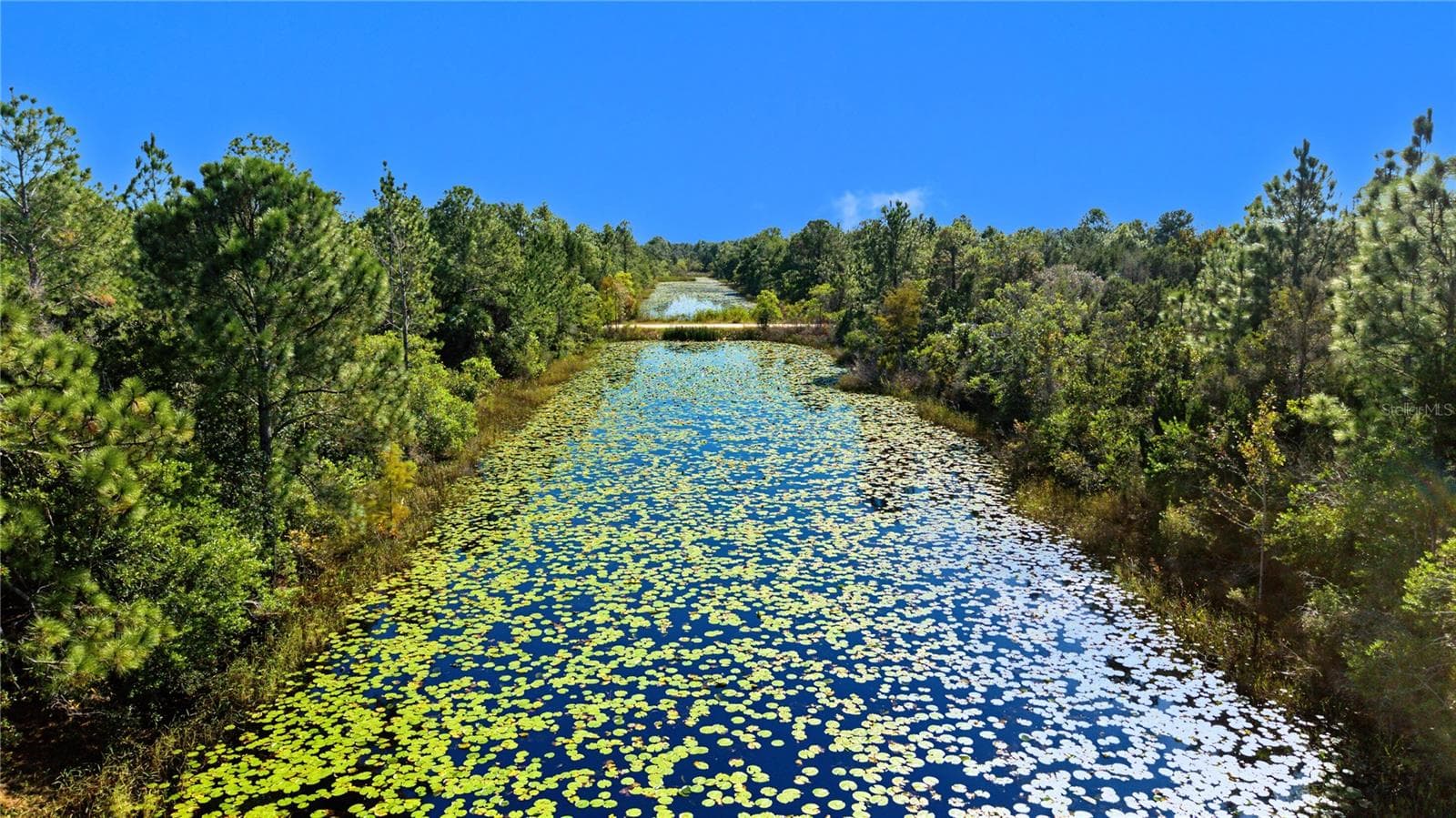 Land at 18182 RAPIDAN RD, WEEKI WACHEE, photo 2 of 29