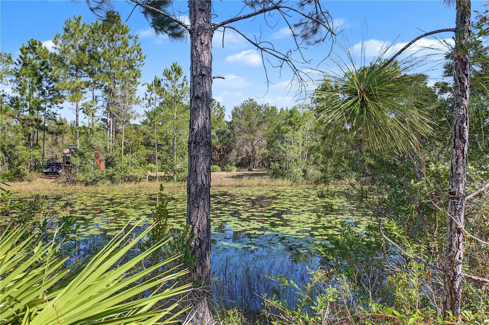 Land at 18182 RAPIDAN RD, WEEKI WACHEE, photo 4 of 29