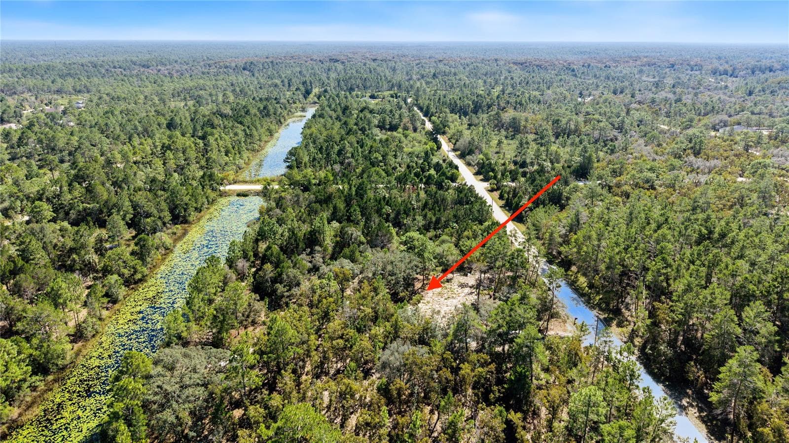 Land at 18182 RAPIDAN RD, WEEKI WACHEE, photo 5 of 29