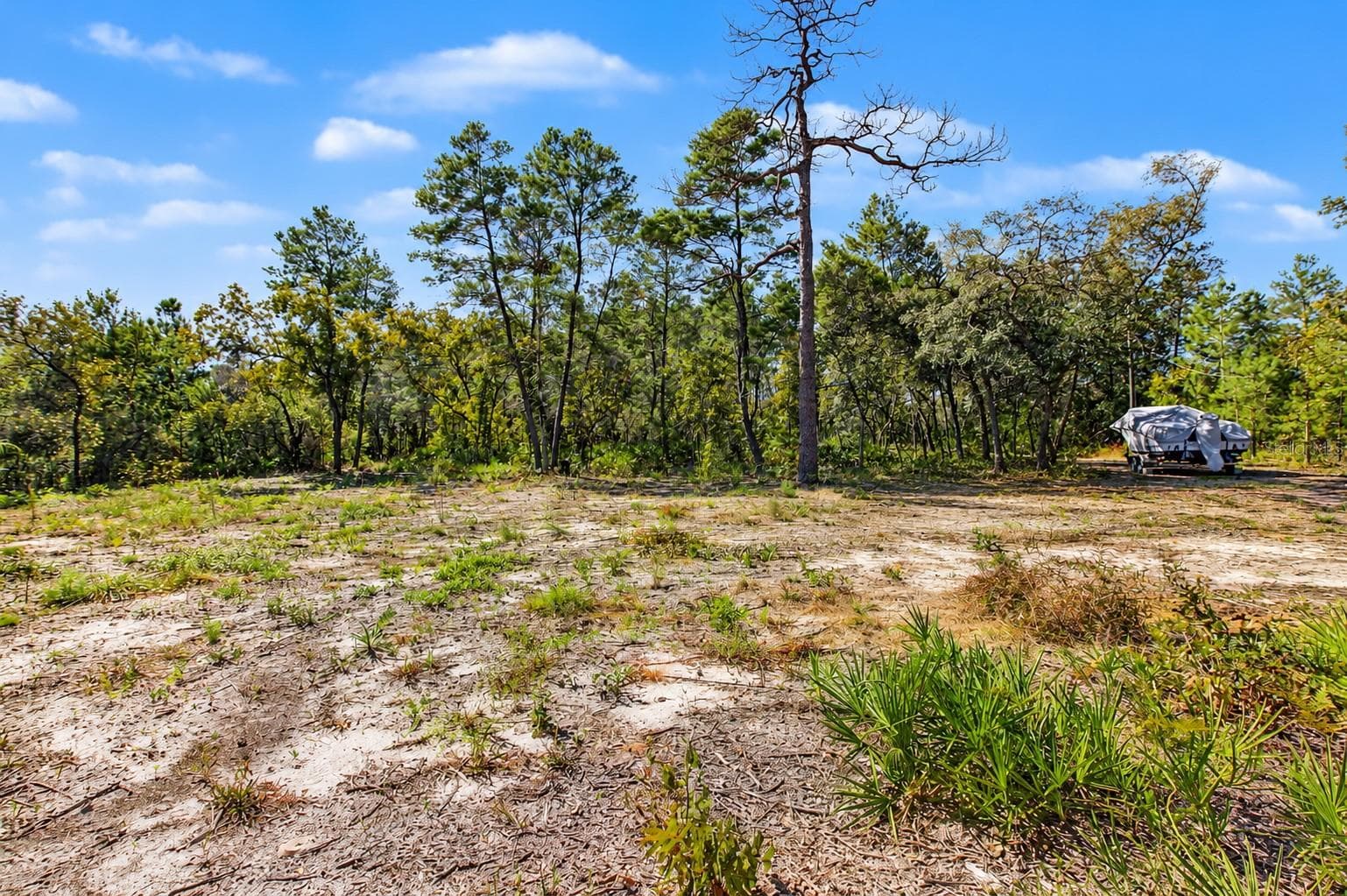 Land at 18182 RAPIDAN RD, WEEKI WACHEE, photo 6 of 29
