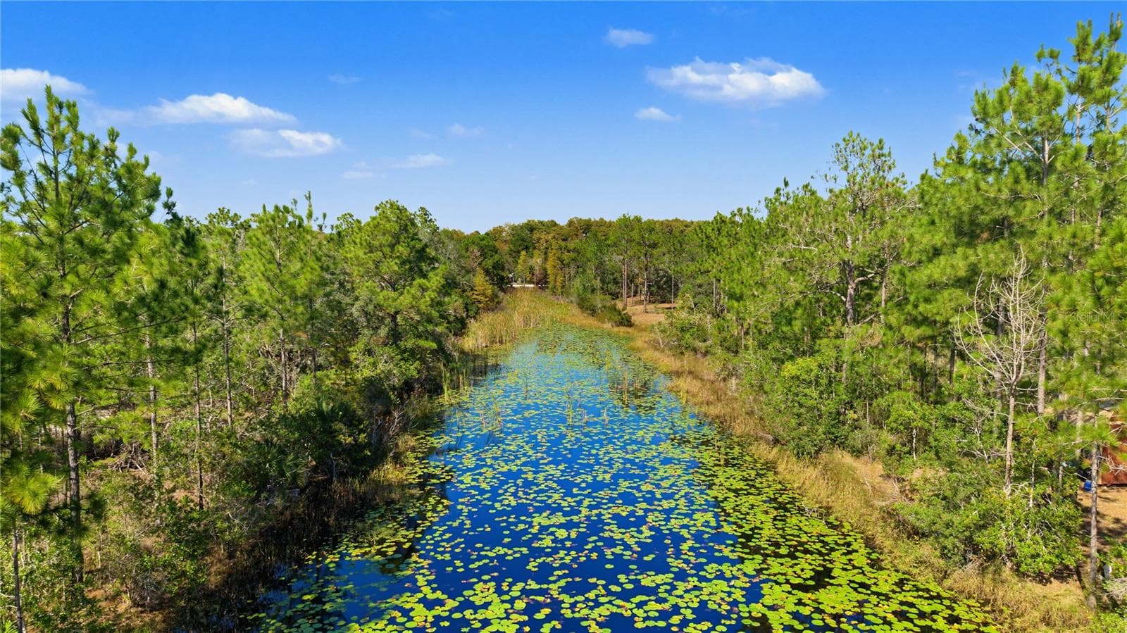 Land at 18182 RAPIDAN RD, WEEKI WACHEE, photo 7 of 29