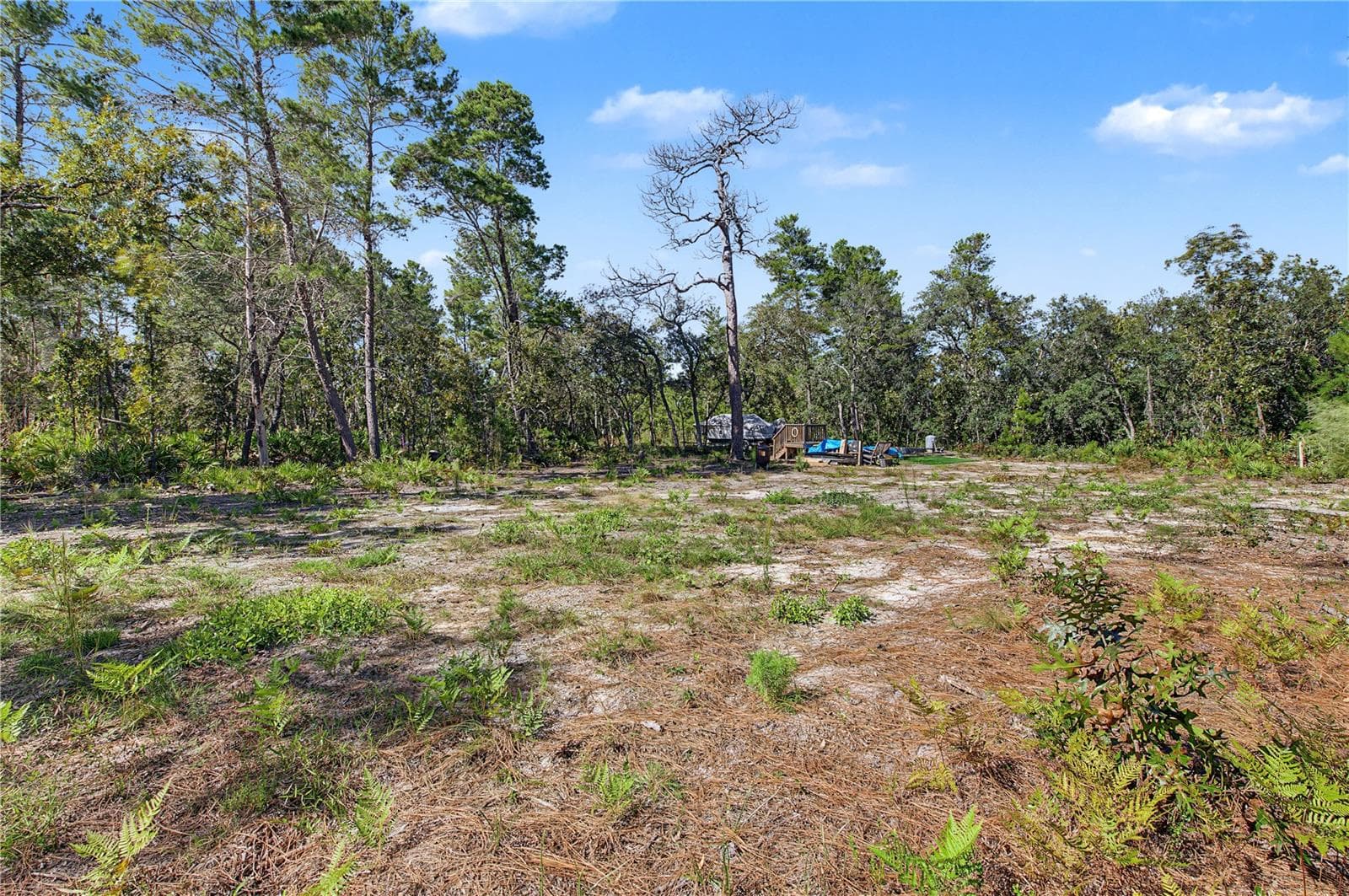 Land at 18182 RAPIDAN RD, WEEKI WACHEE, photo 8 of 29